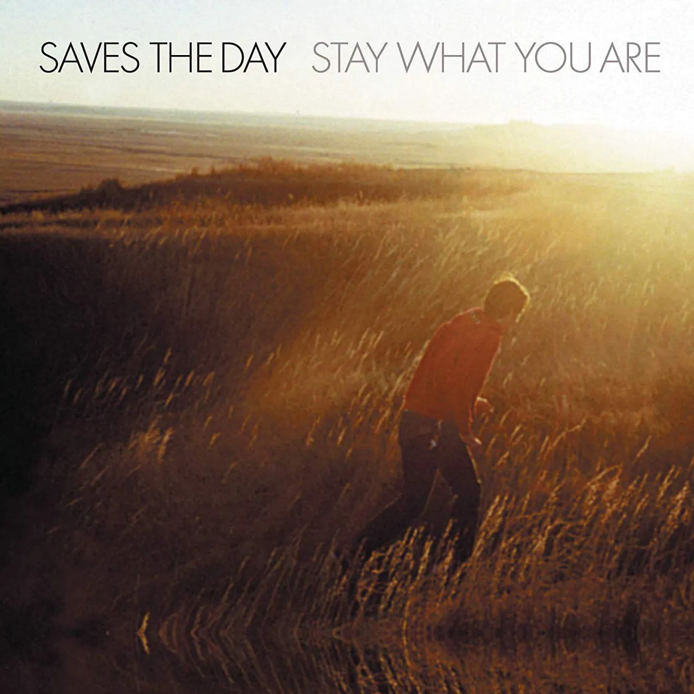Saves The Day Stay What You Are (10-inch) Vinyl Record