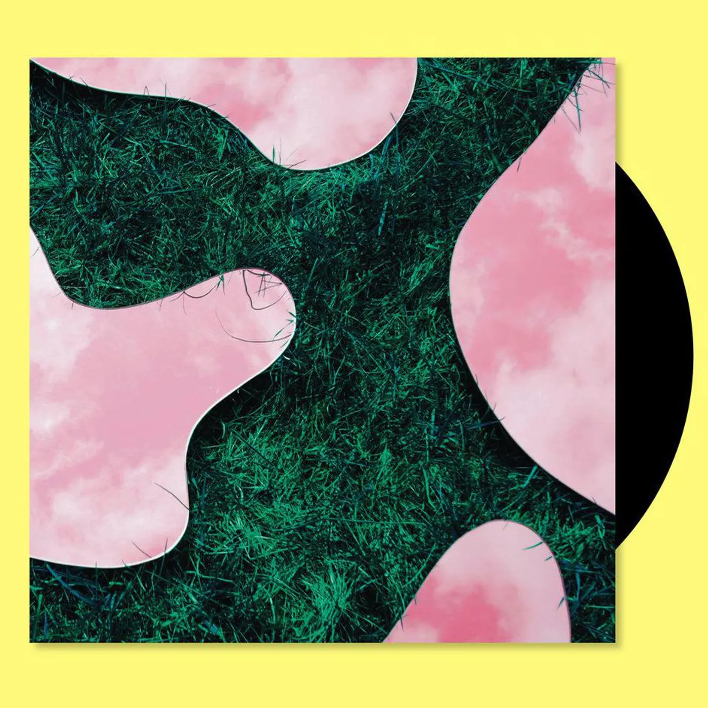 Lee Paradise & Co Vinyl Record