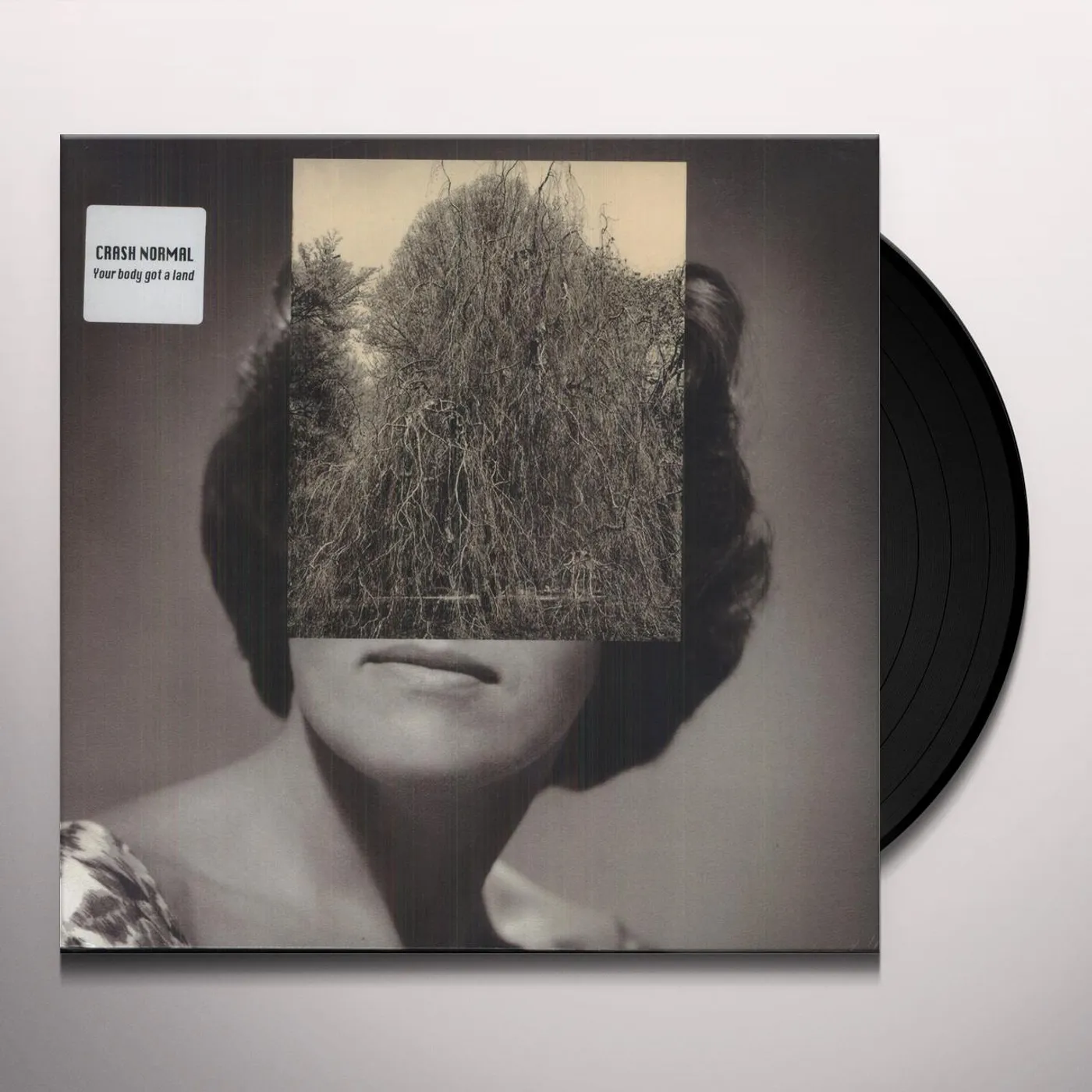 Crash Normal Your Body Got A Land Vinyl Record