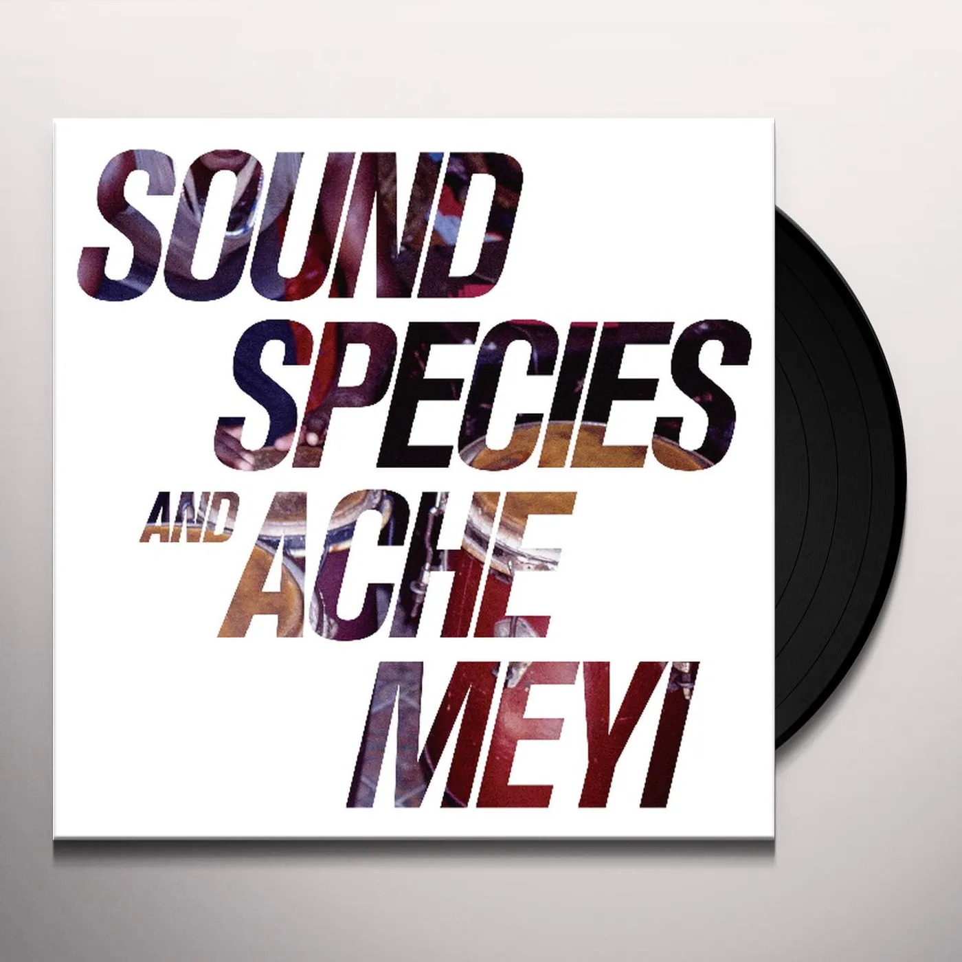 Soundspecies & Ache Meyi Soundspecies And Ache Meyi Vinyl Record