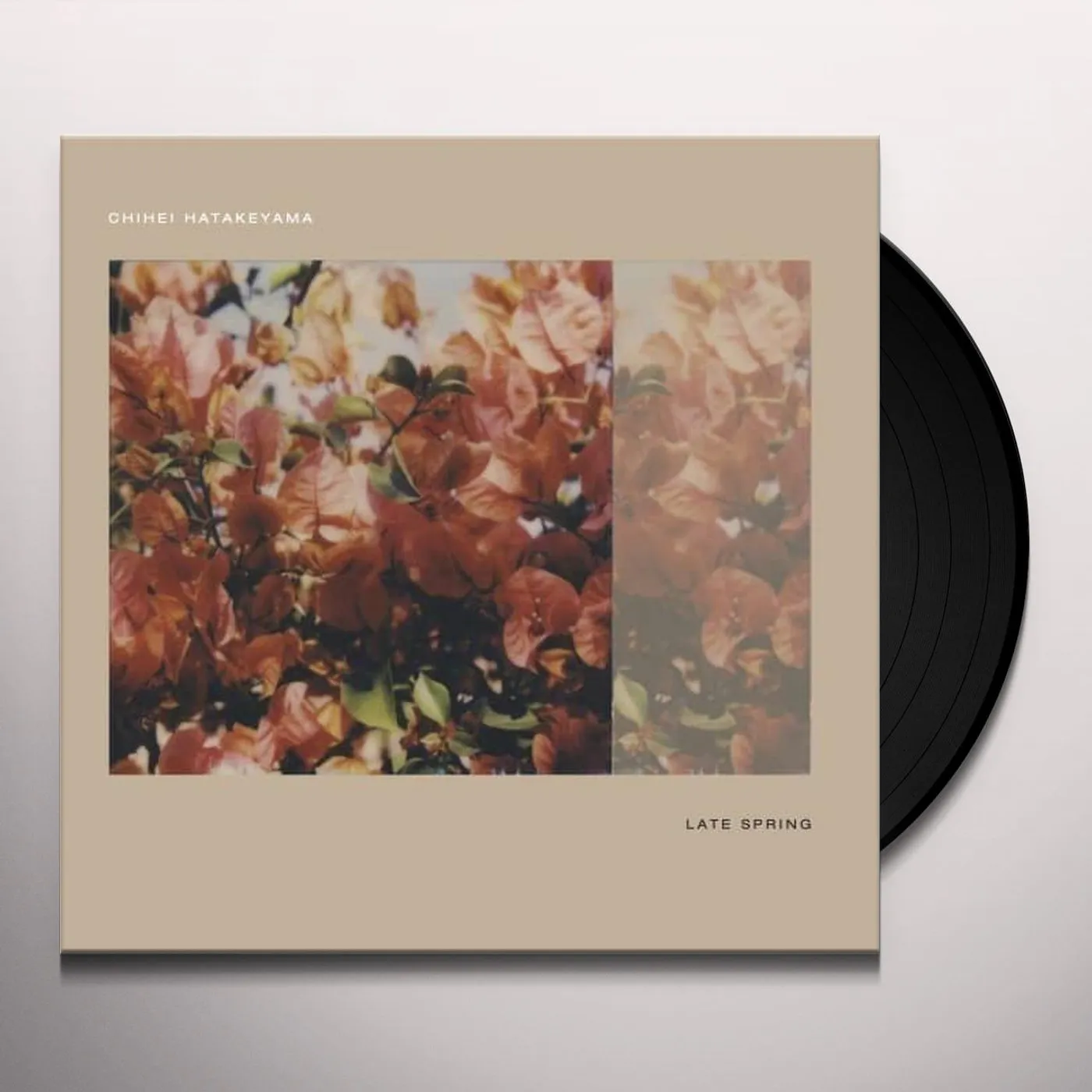 Chihei Hatakeyama Late Spring Vinyl Record