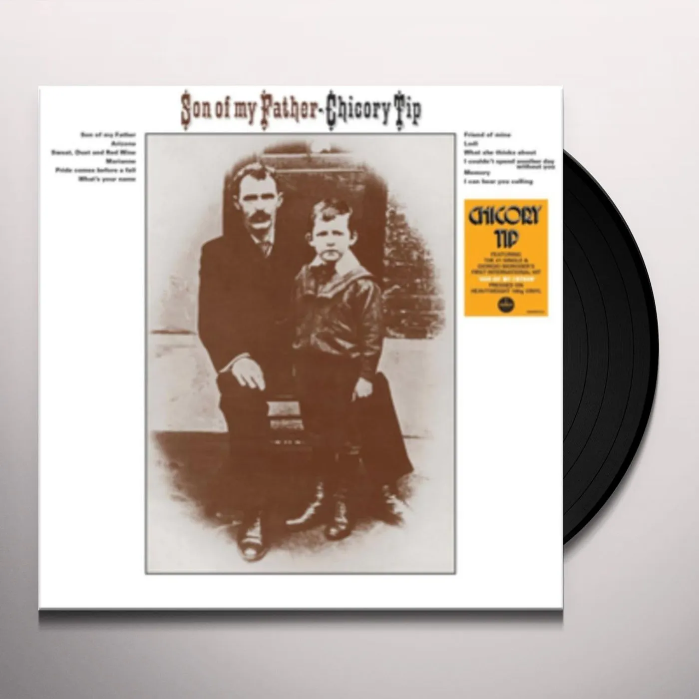 Chicory Tip Son Of My Father Vinyl Record