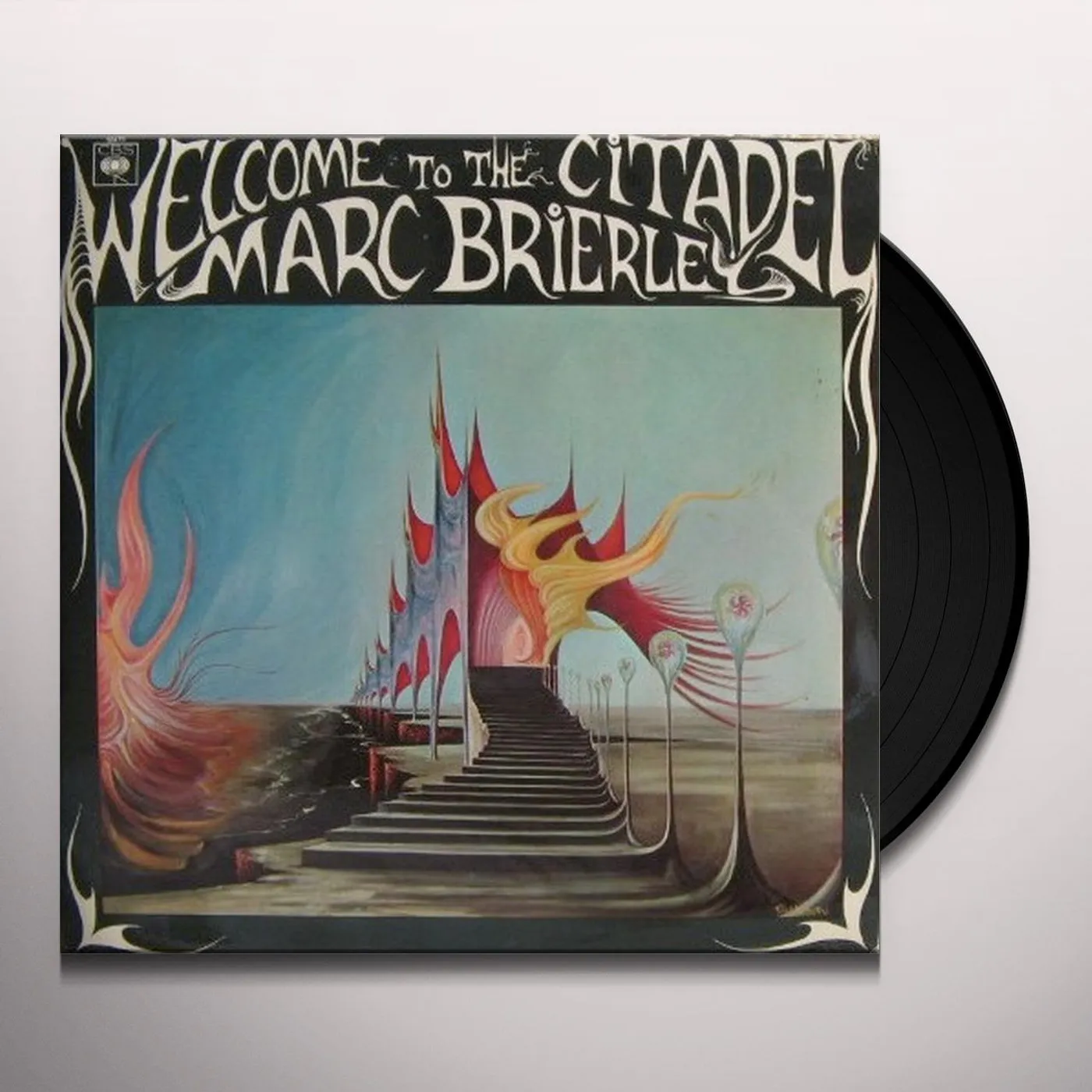 Marc Brierley Brand Page