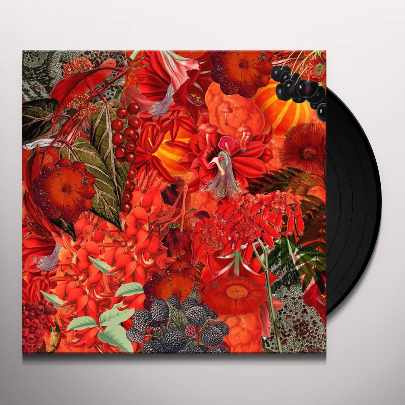 We Will Fail Hand That Heals / Hand That Bites Vinyl Record