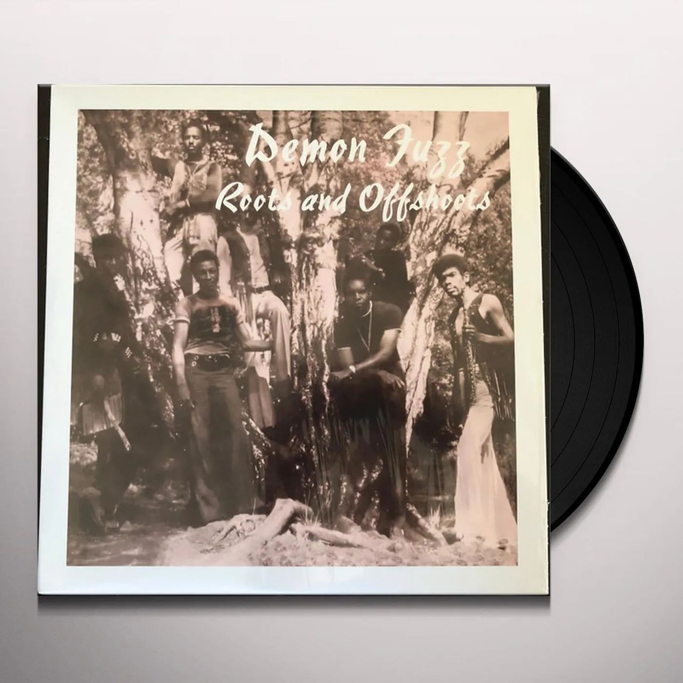 Demon Fuzz ROOTS & OFFSHOOTS Vinyl Record