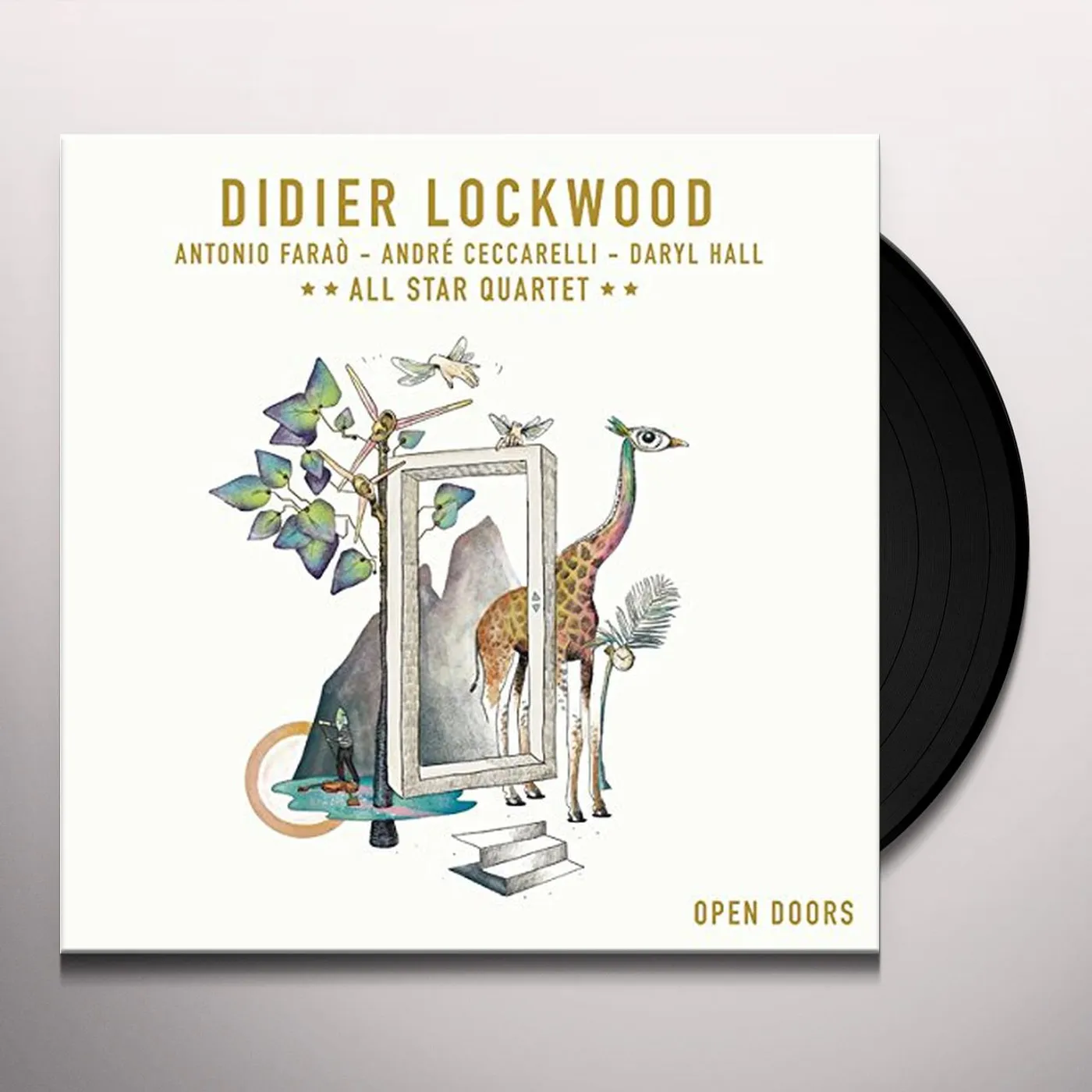 Didier Lockwood Open Doors Vinyl Record