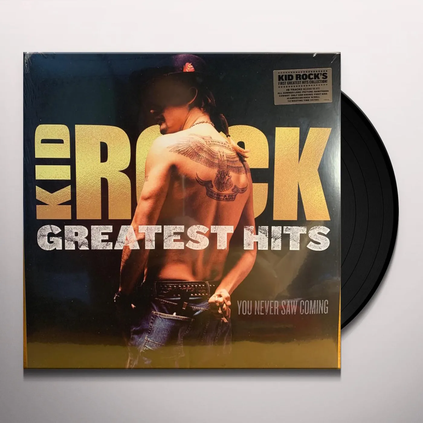 Kid Rock GREATEST HITS: YOU NEVER SAW COMING (2LP) Vinyl Record