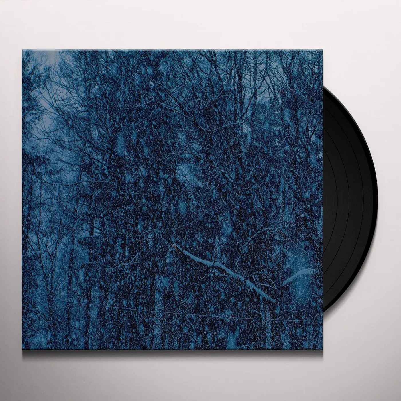 Jesu Never Vinyl Record