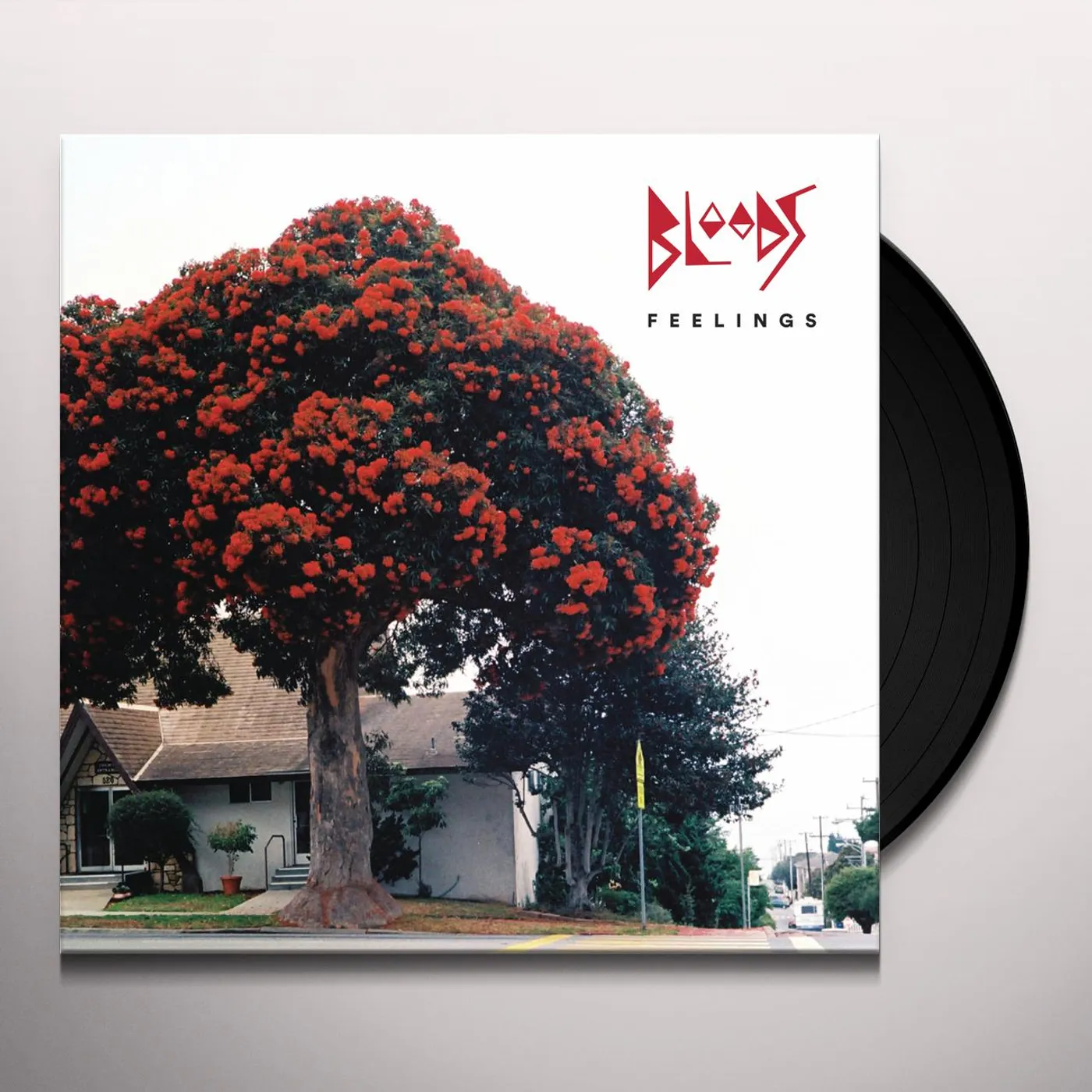 Bloods Feelings Vinyl Record