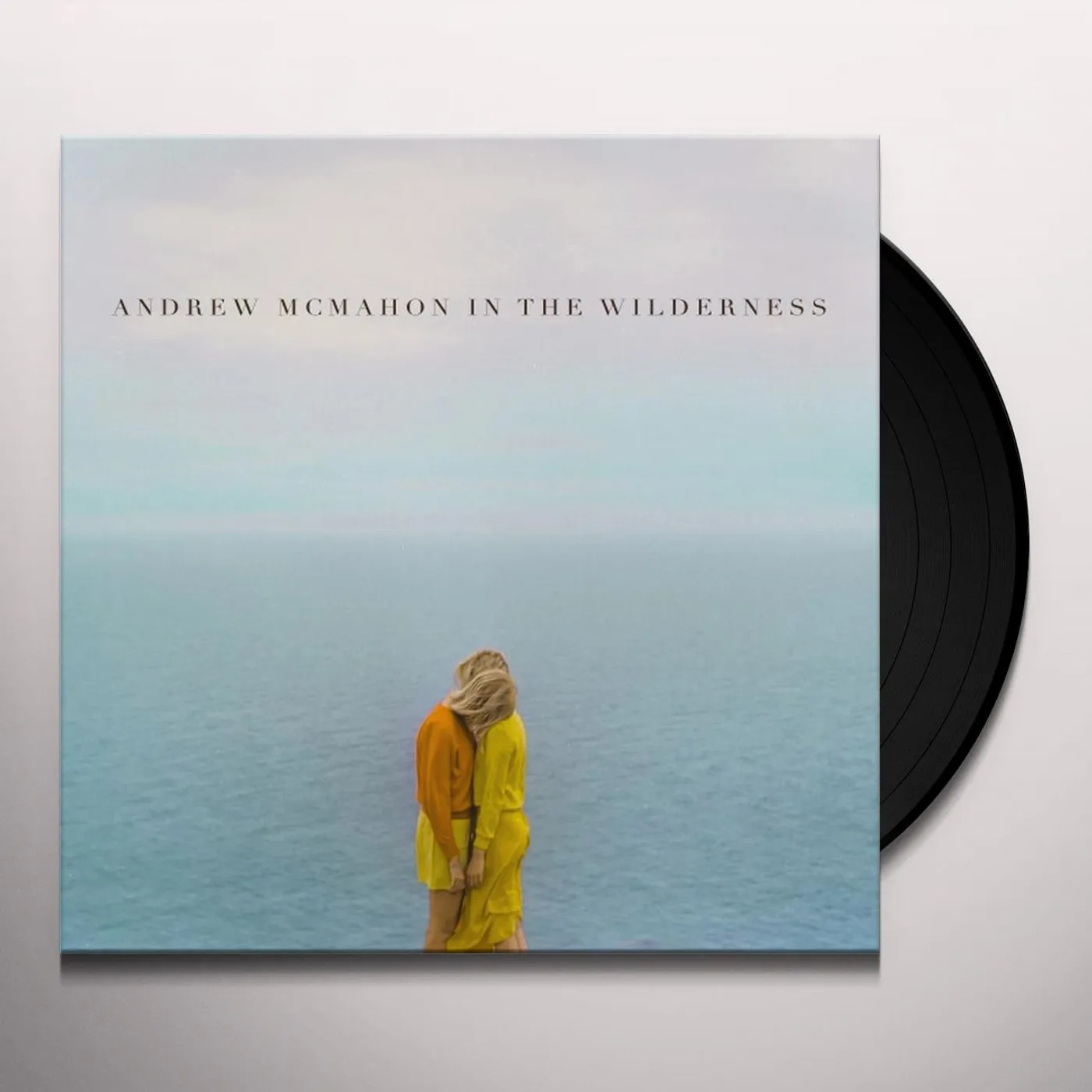 Andrew McMahon In The Wilderness Vinyl Record