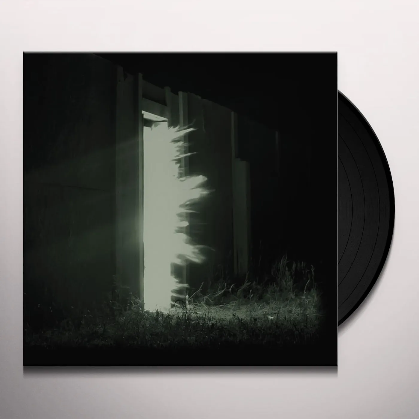 Fink Horizontalism Vinyl Record