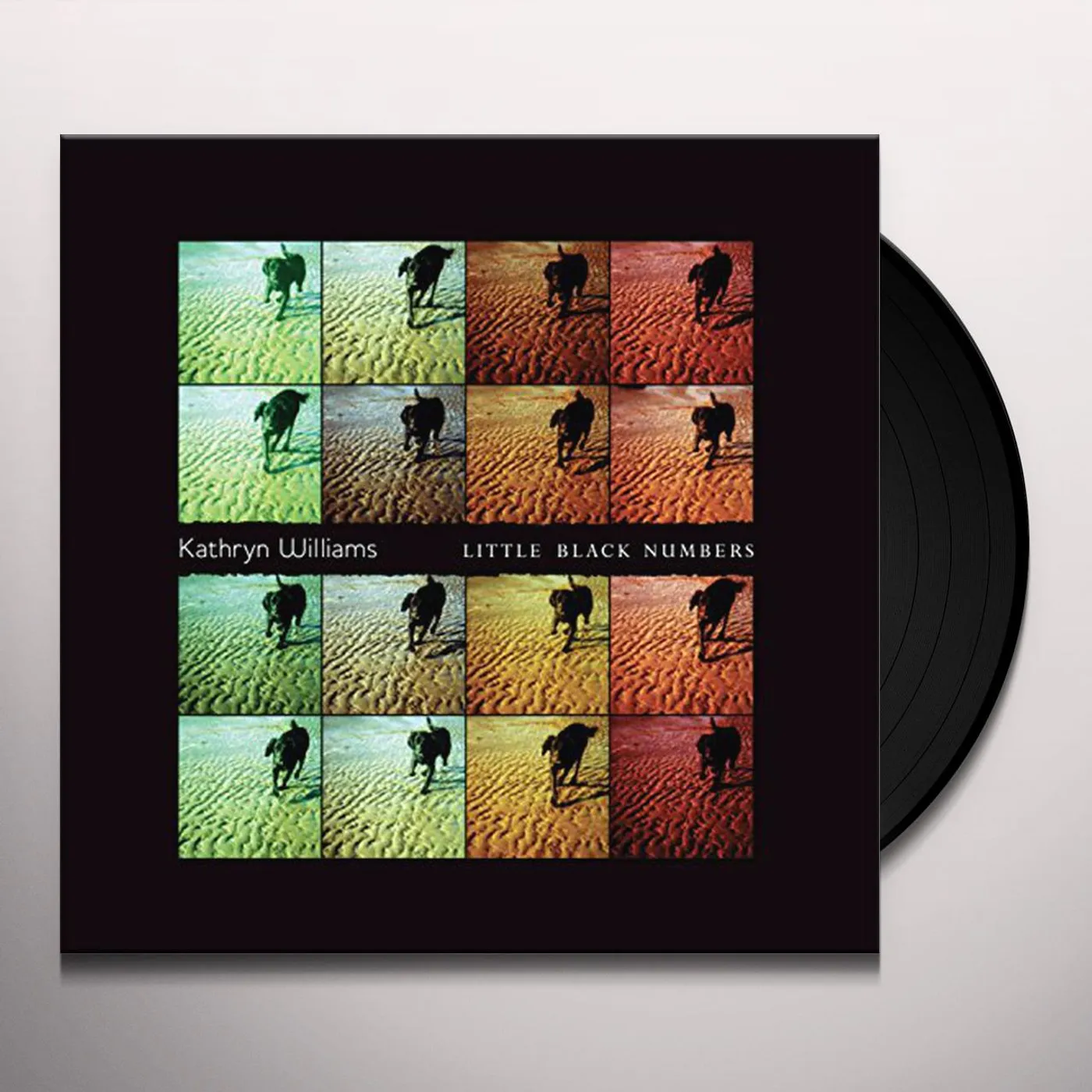 Kathryn Williams Little Black Numbers Vinyl Record