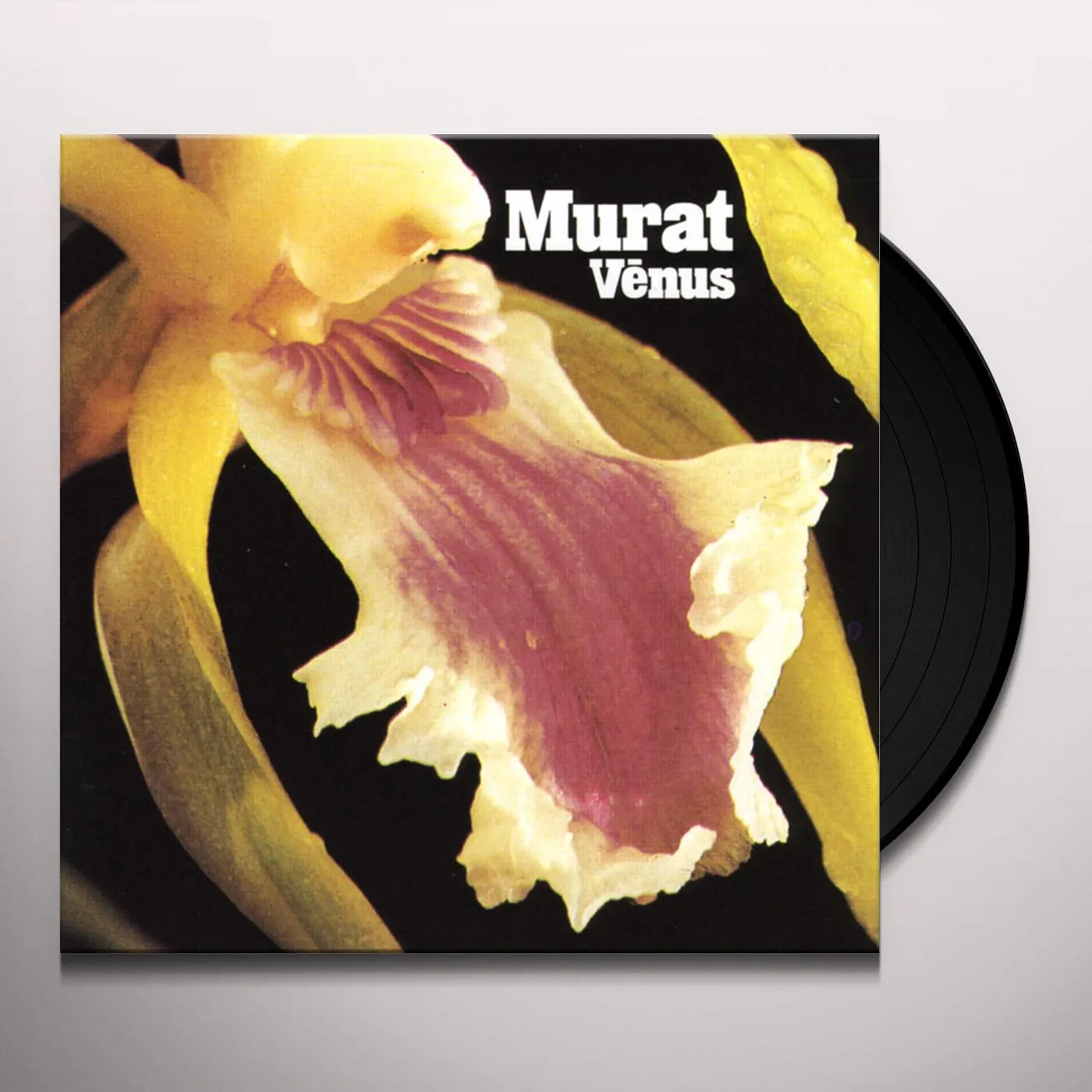 Jean-Louis Murat Venus Vinyl Record