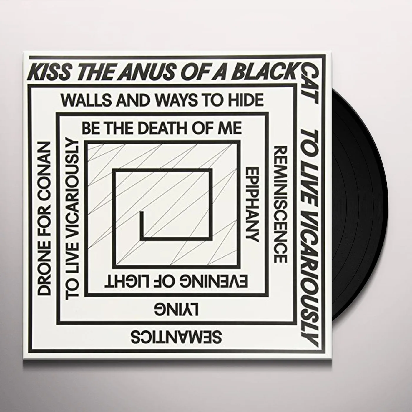 kiss the anus of a black cat To Live Vicariously Vinyl Record