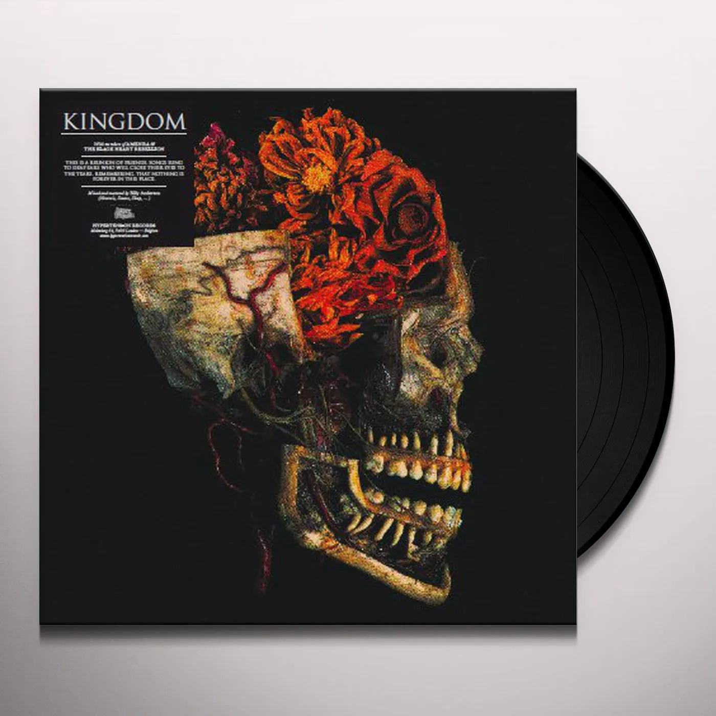 Kingdom Hemeltraan Vinyl Record