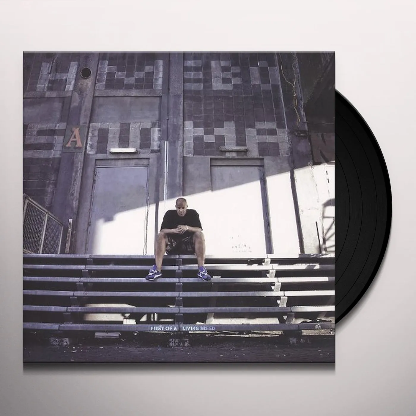 Homeboy Sandman First of a Living Breed Vinyl Record