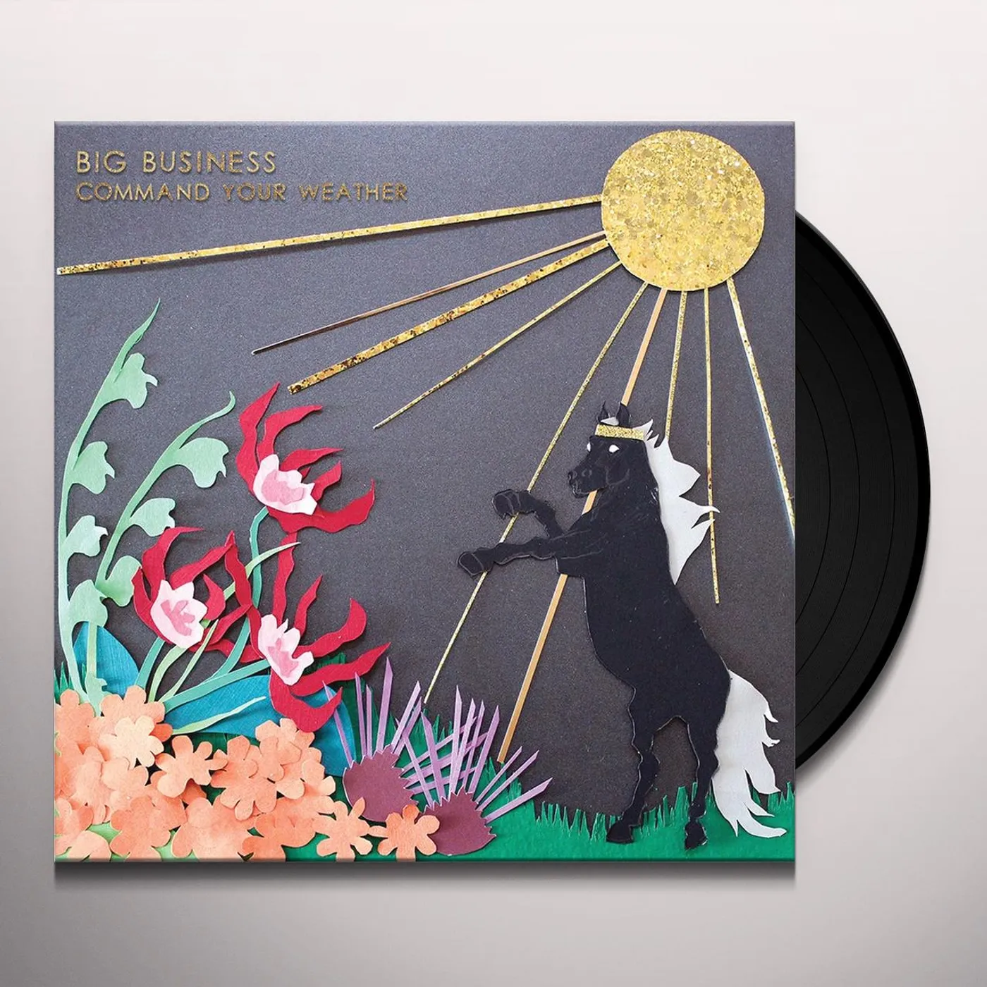 Big Business Command Your Weather Vinyl Record