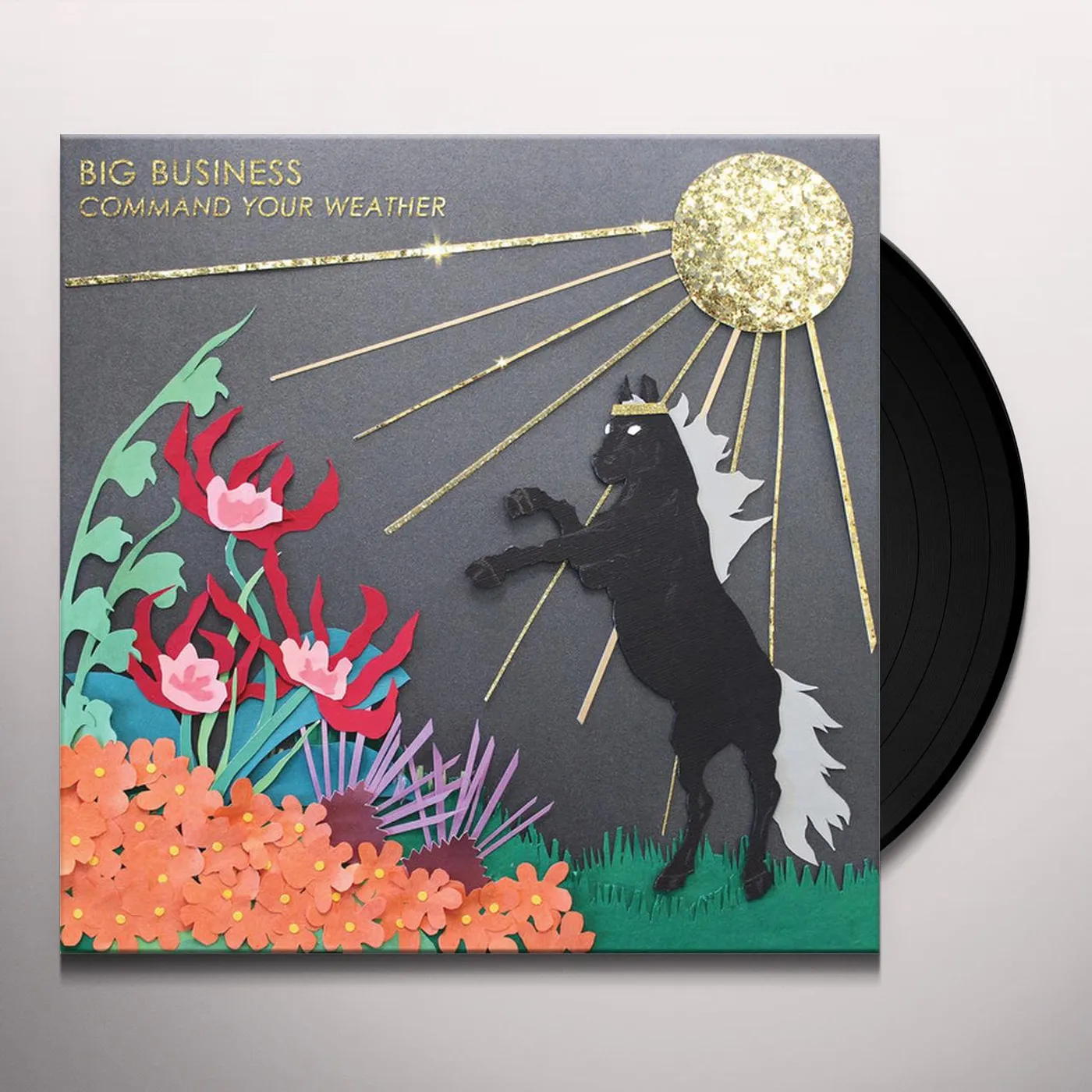 Big Business Command Your Weather Vinyl Record