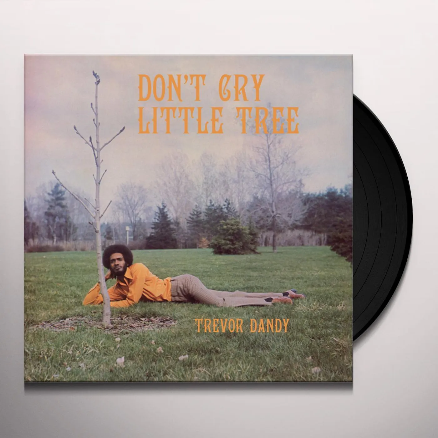 Trevor Dandy Don't Cry Little Tree Vinyl Record