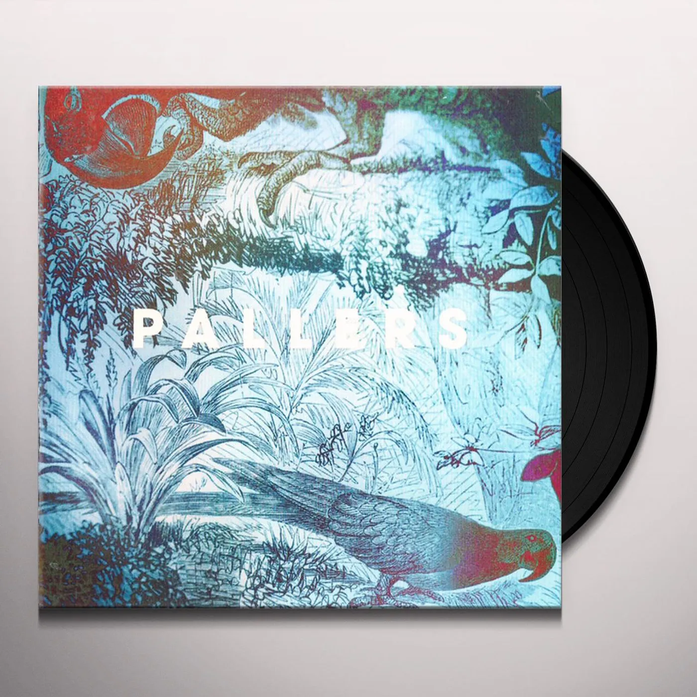 Pallers SEA OF MEMORIES Vinyl Record