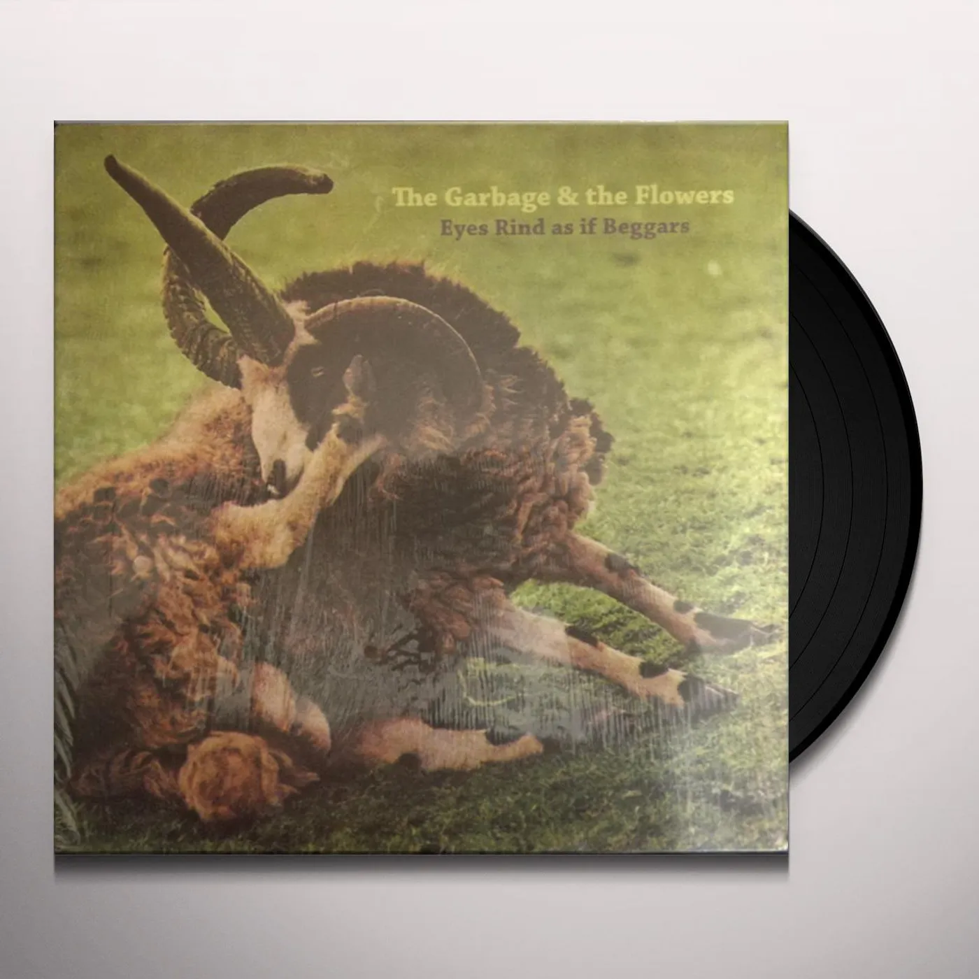 The Garbage & the Flowers Eyes Rind As If Beggars Vinyl Record