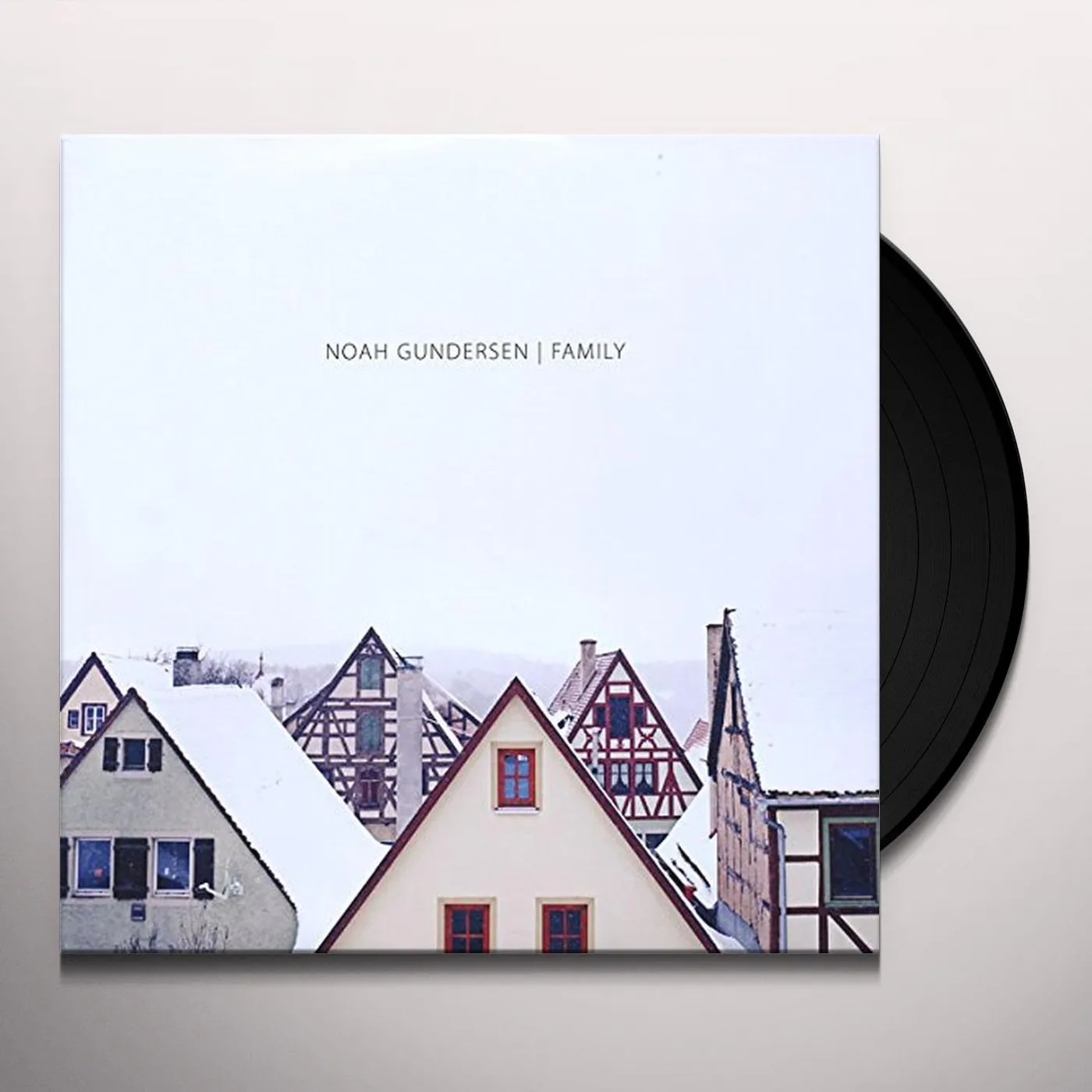 Noah Gundersen Family Vinyl Record