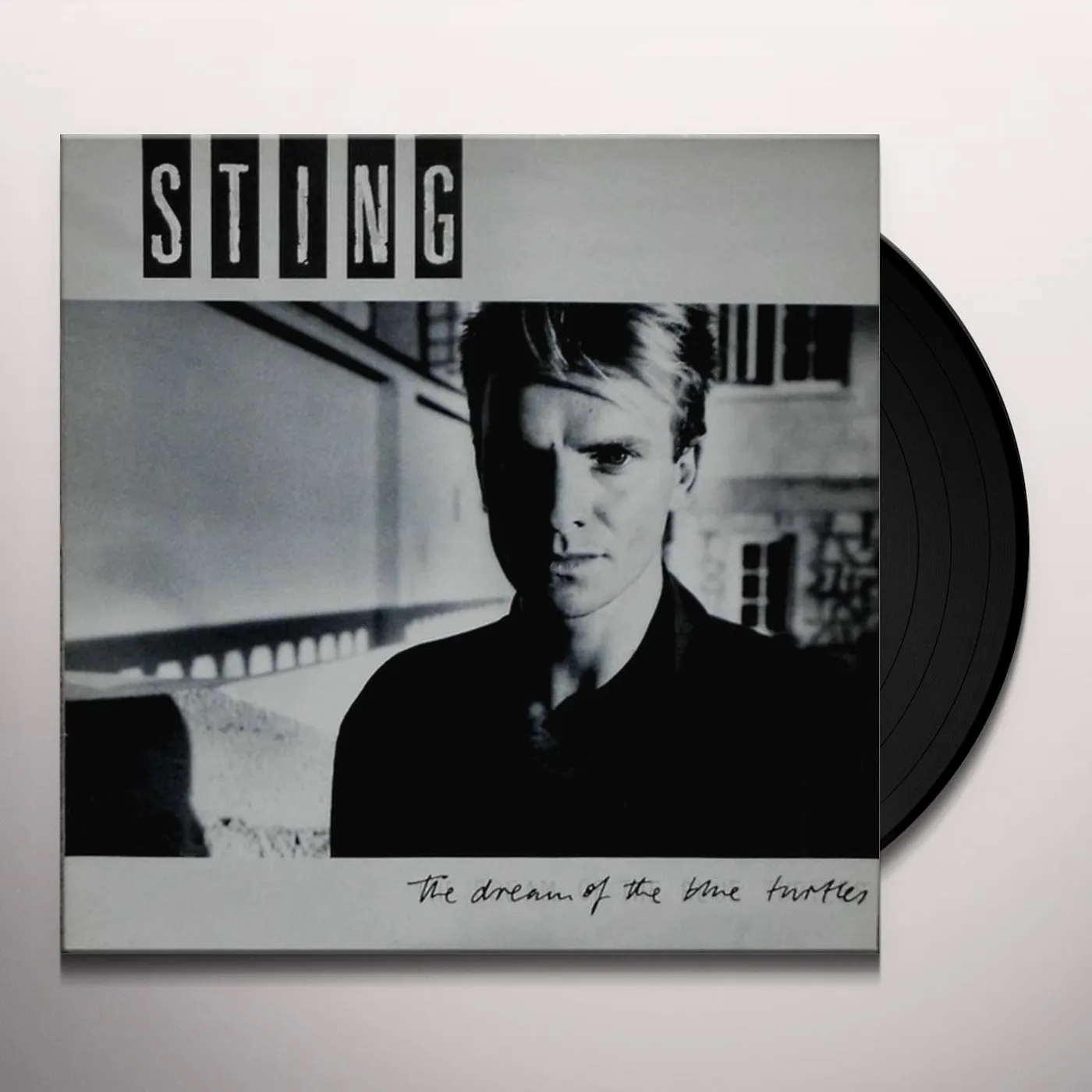 Sting DREAM OF THE BLUE TURTLES Vinyl Record