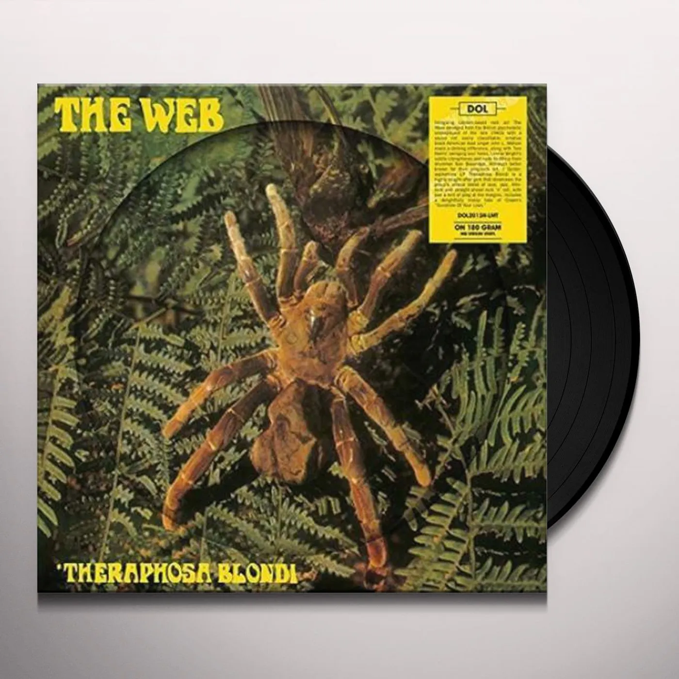 Web Theraphosa Blondi Vinyl Record