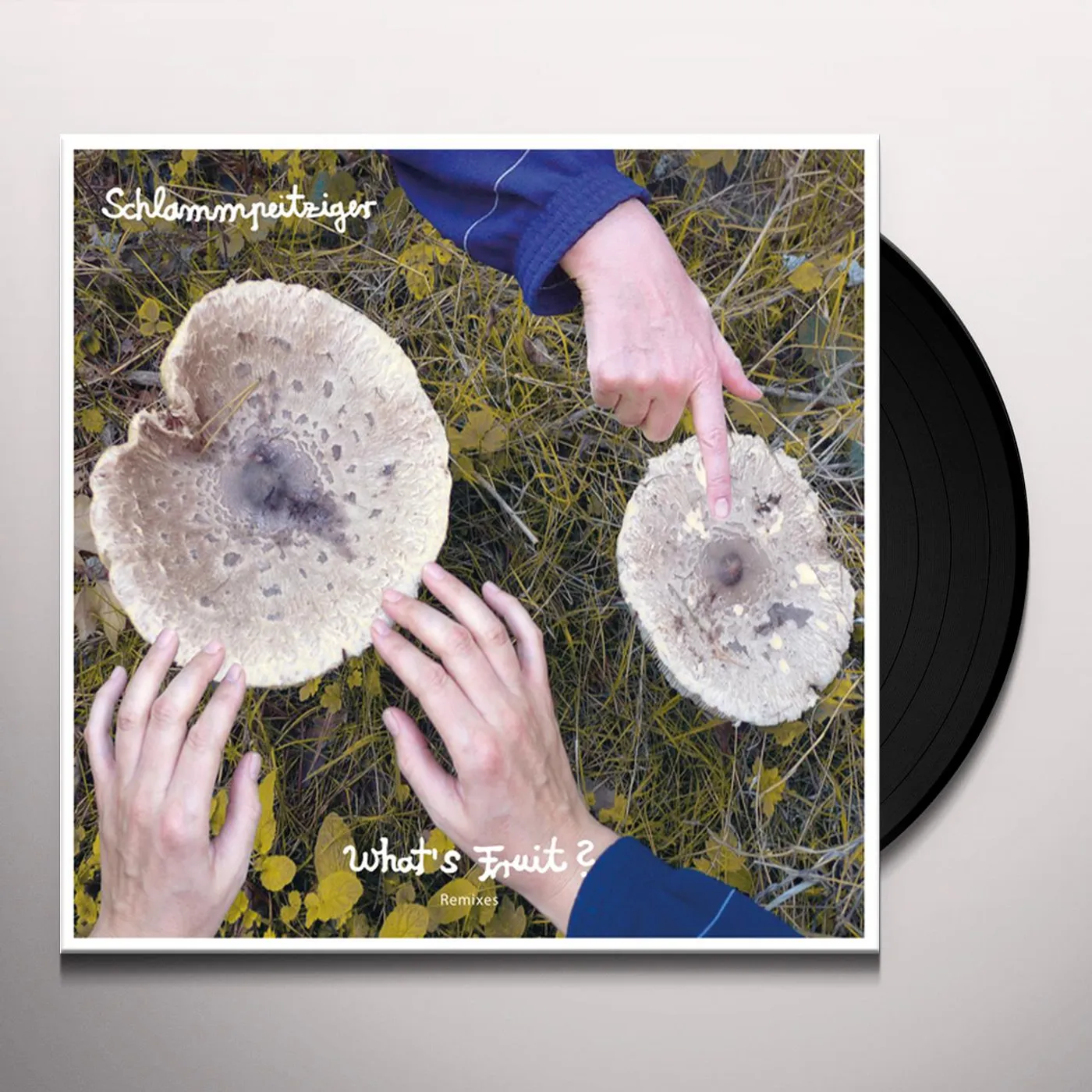 Schlammpeitziger WHATS FRUIT REMIXES Vinyl Record