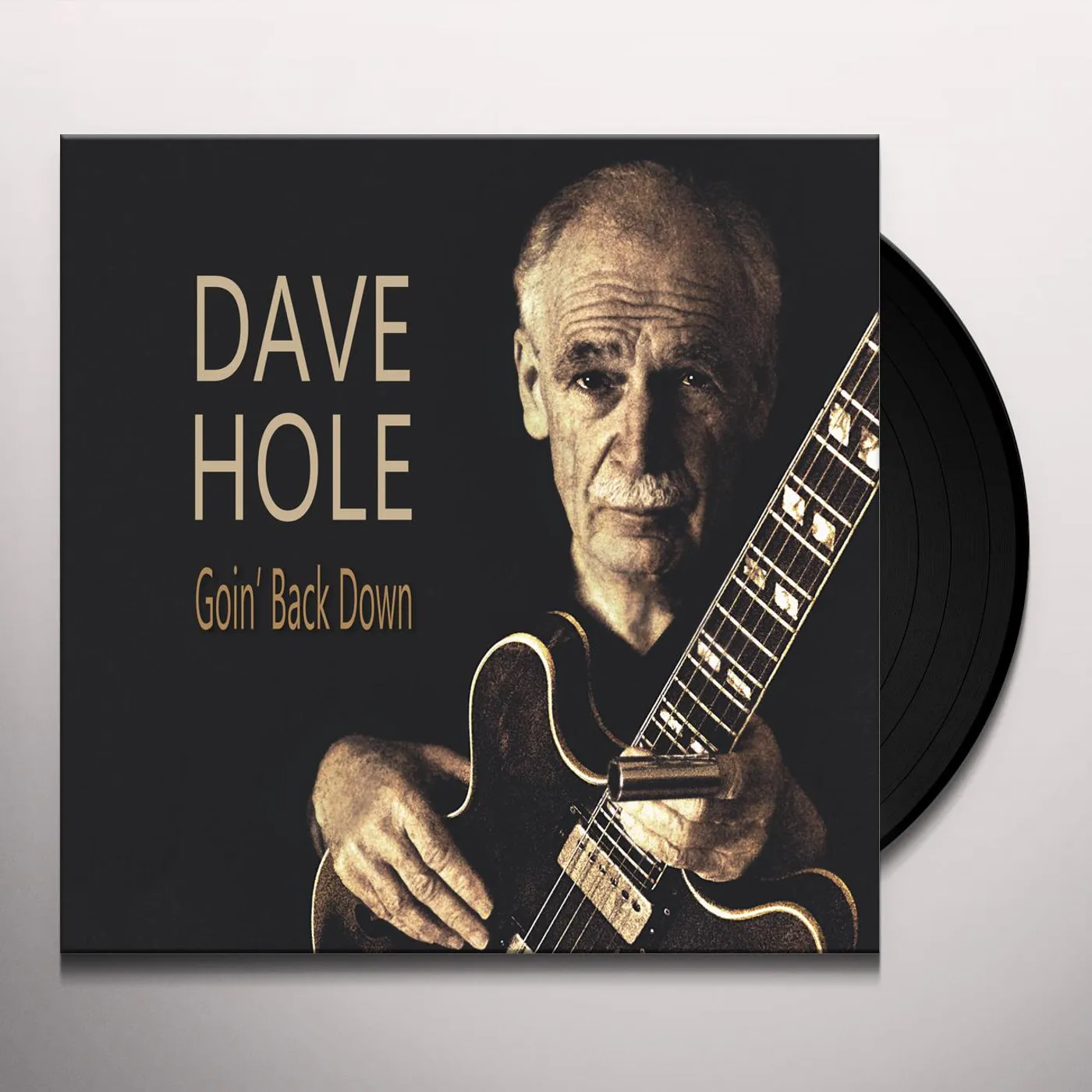 Dave Hole GOIN' BACK DOWN Vinyl Record