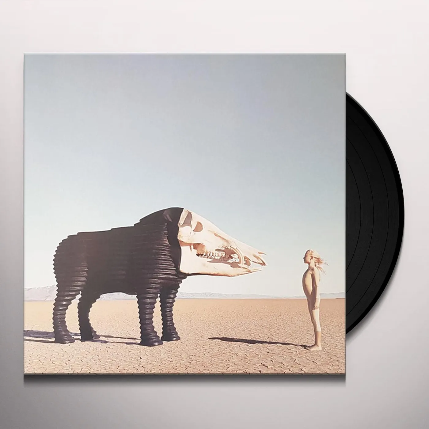 Man Man DREAM HUNTING IN THE VALLEY OF THE IN-BETWEEN Vinyl Record