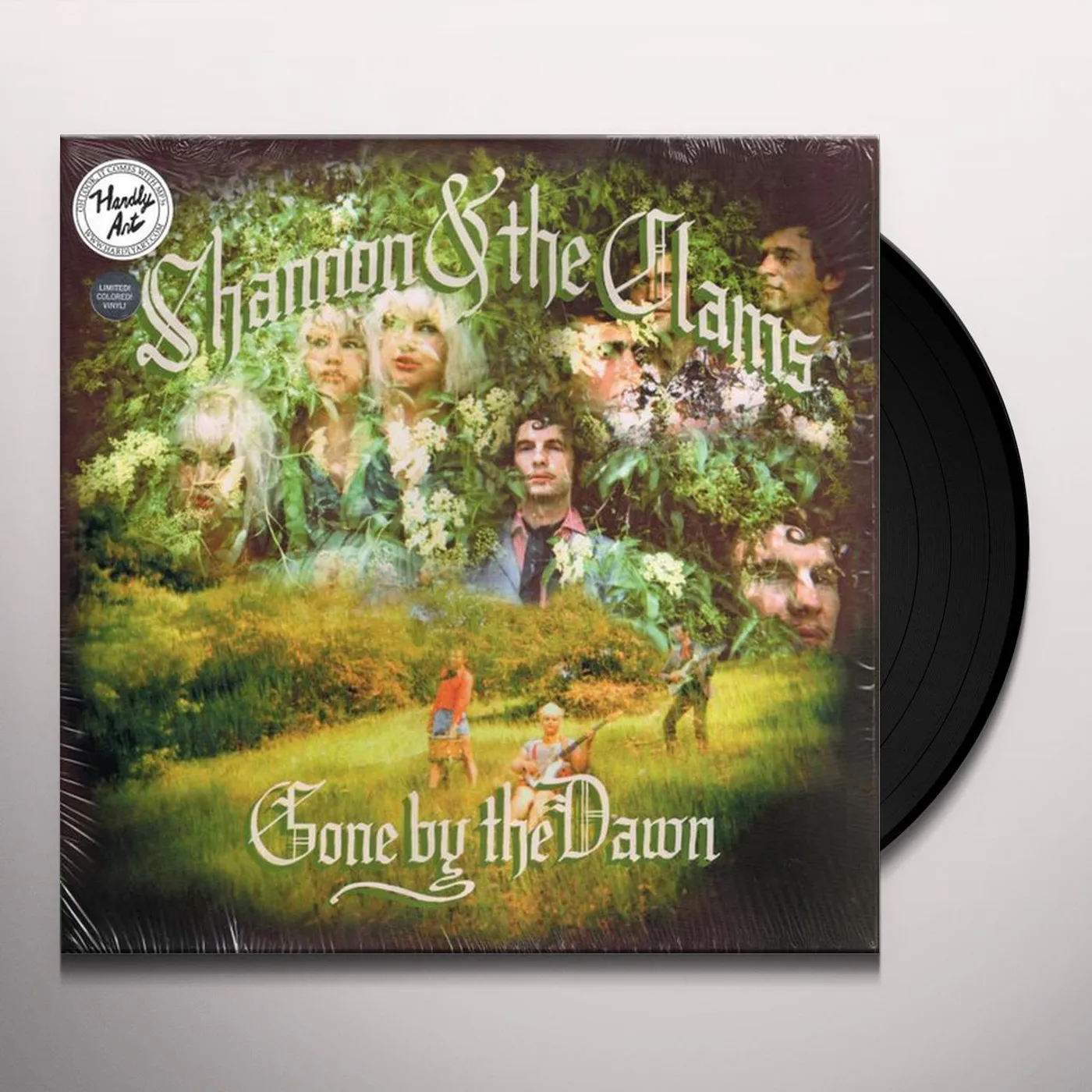 Shannon & The Clams GONE BY THE DAWN (DL CARD) Vinyl Record