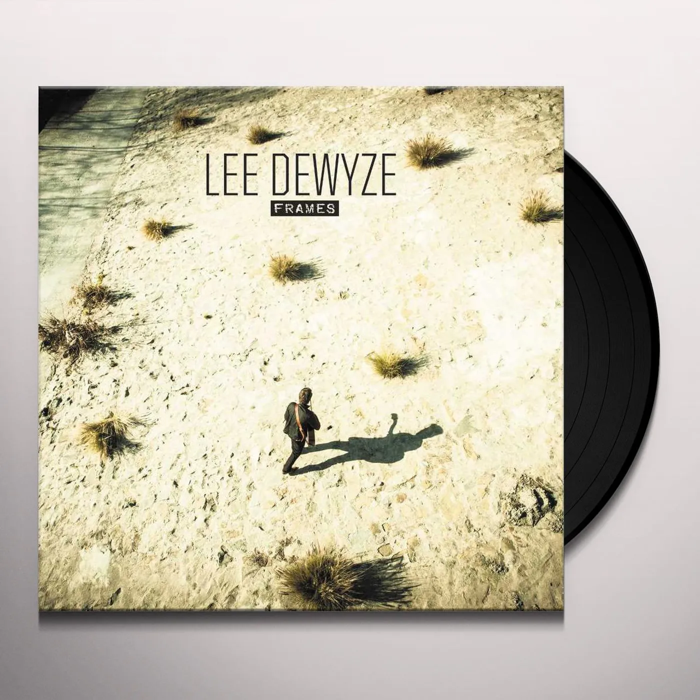 Lee DeWyze Frames Vinyl Record