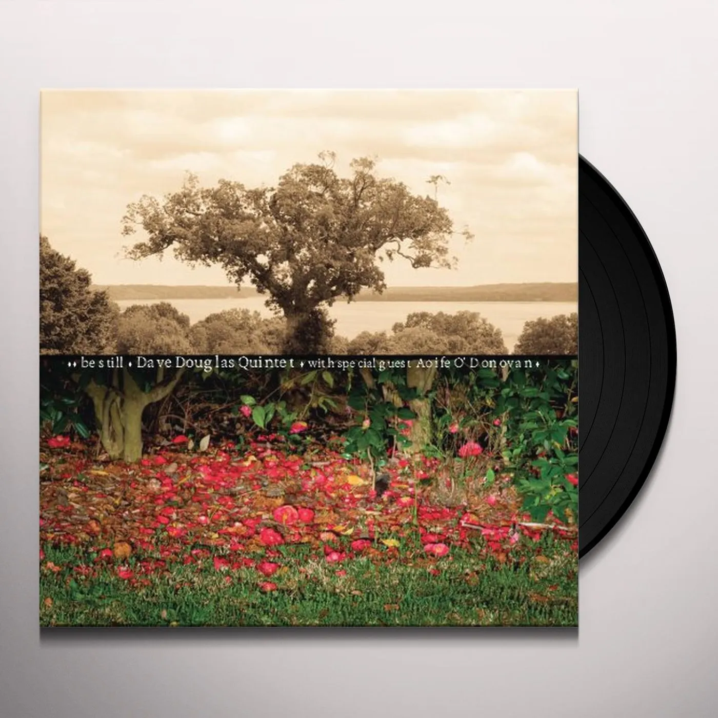 Dave Douglas Be Still Vinyl Record