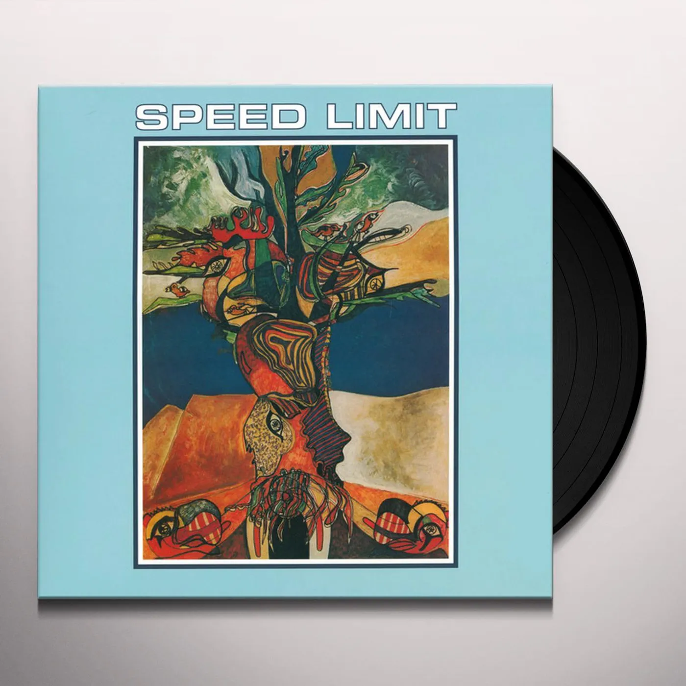 Speed Limit Vinyl Record