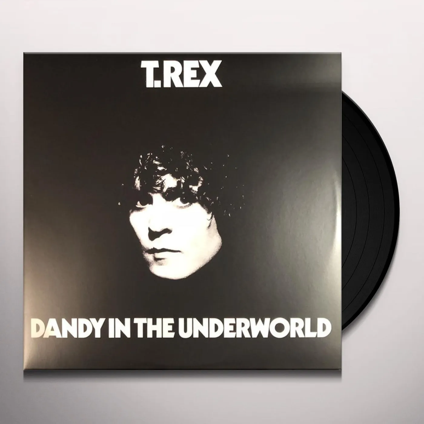 T. Rex Dandy In The Underworld Vinyl Record