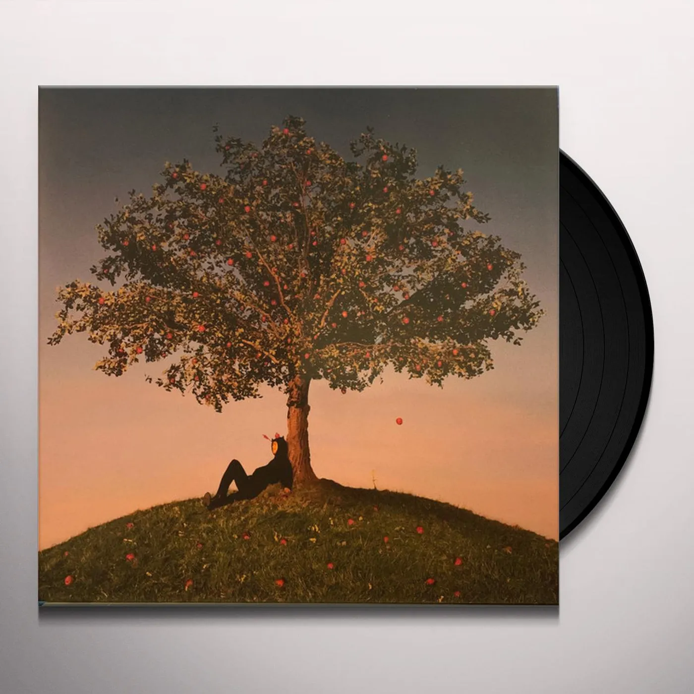 slowthai TYRON Vinyl Record