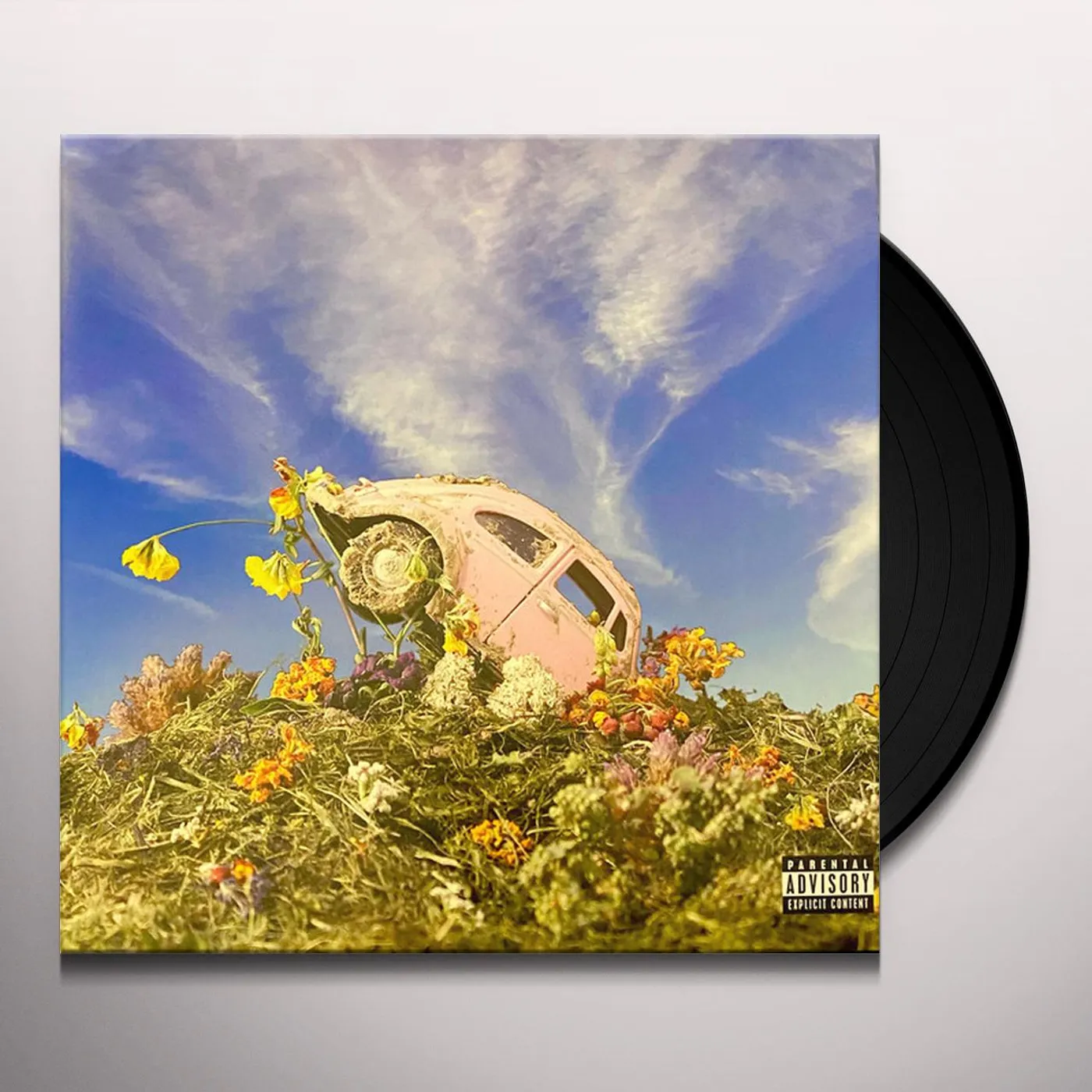 Sir Sly RISE & FALL OF LOVERBOY Vinyl Record