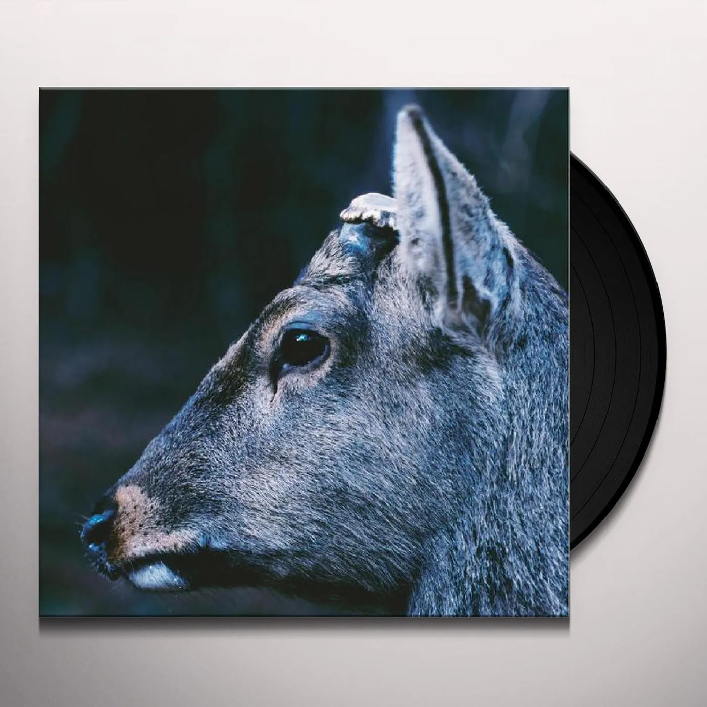 toe The Book About My Idle Plot On A Vague A Vinyl Record