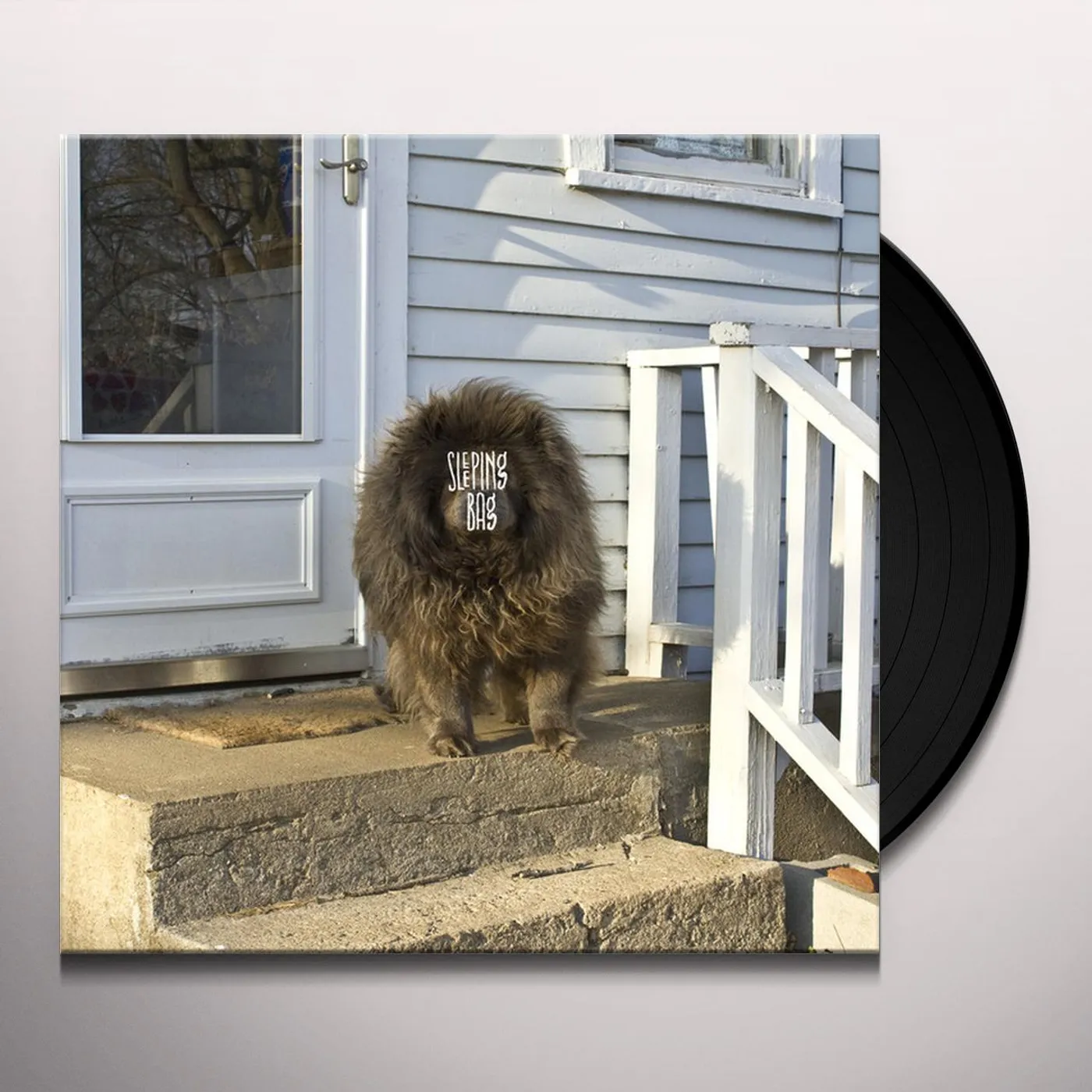 Sleeping Bag Vinyl Record