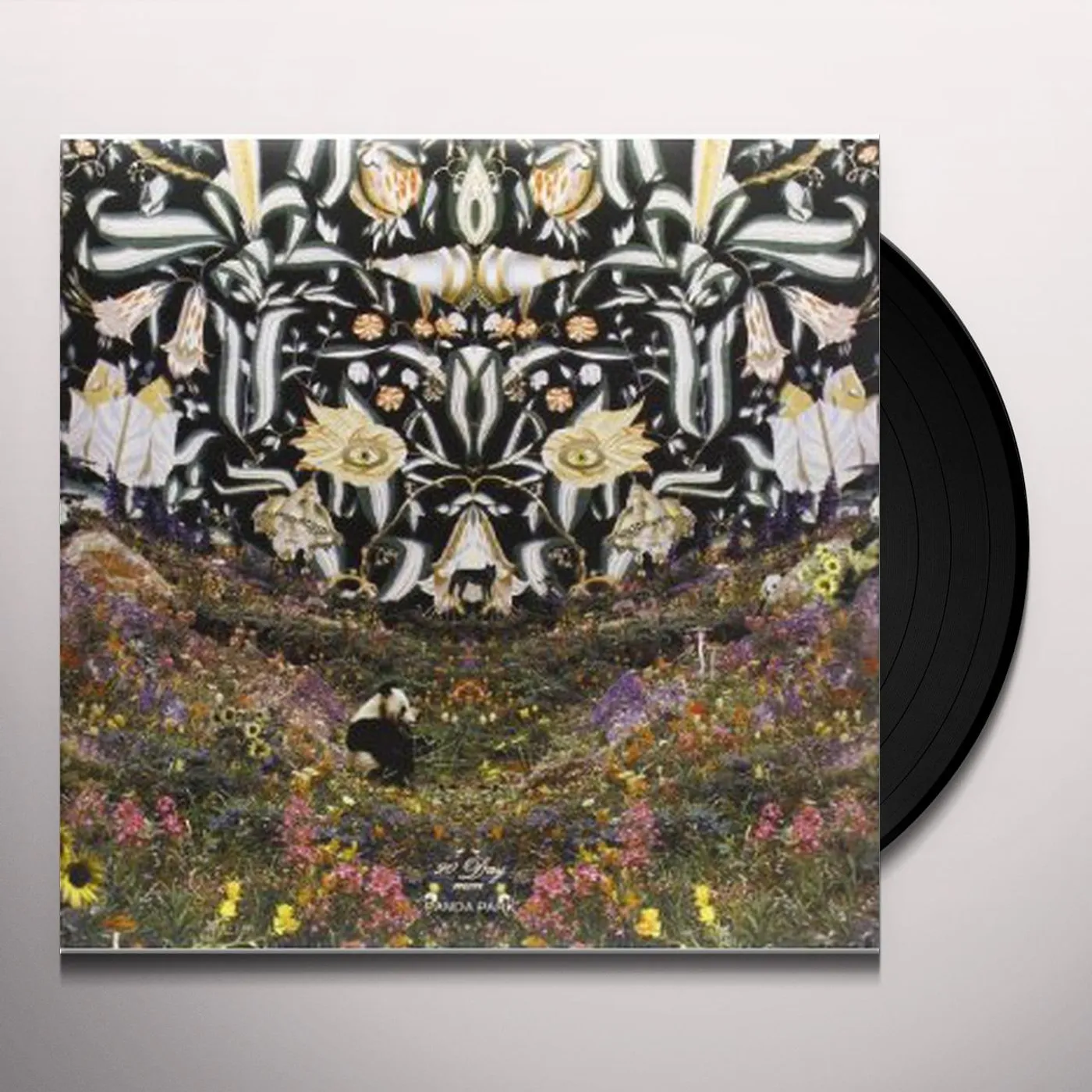 90 Day Men Panda Park Vinyl Record