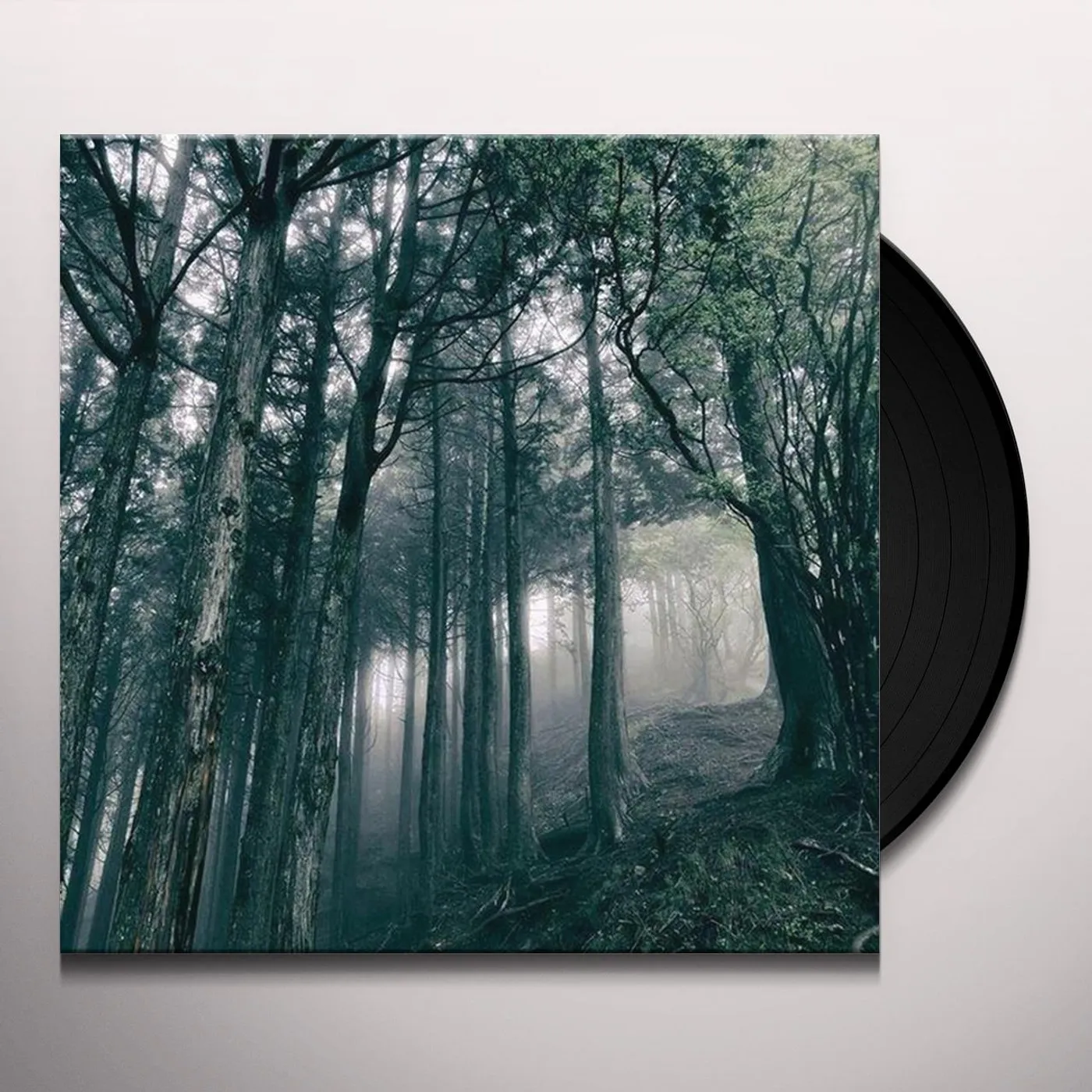 Akira Kosemura In The Dark Woods Vinyl Record