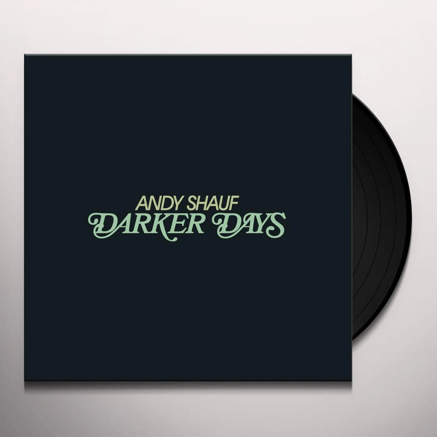 Andy Shauf Darker Days Vinyl Record