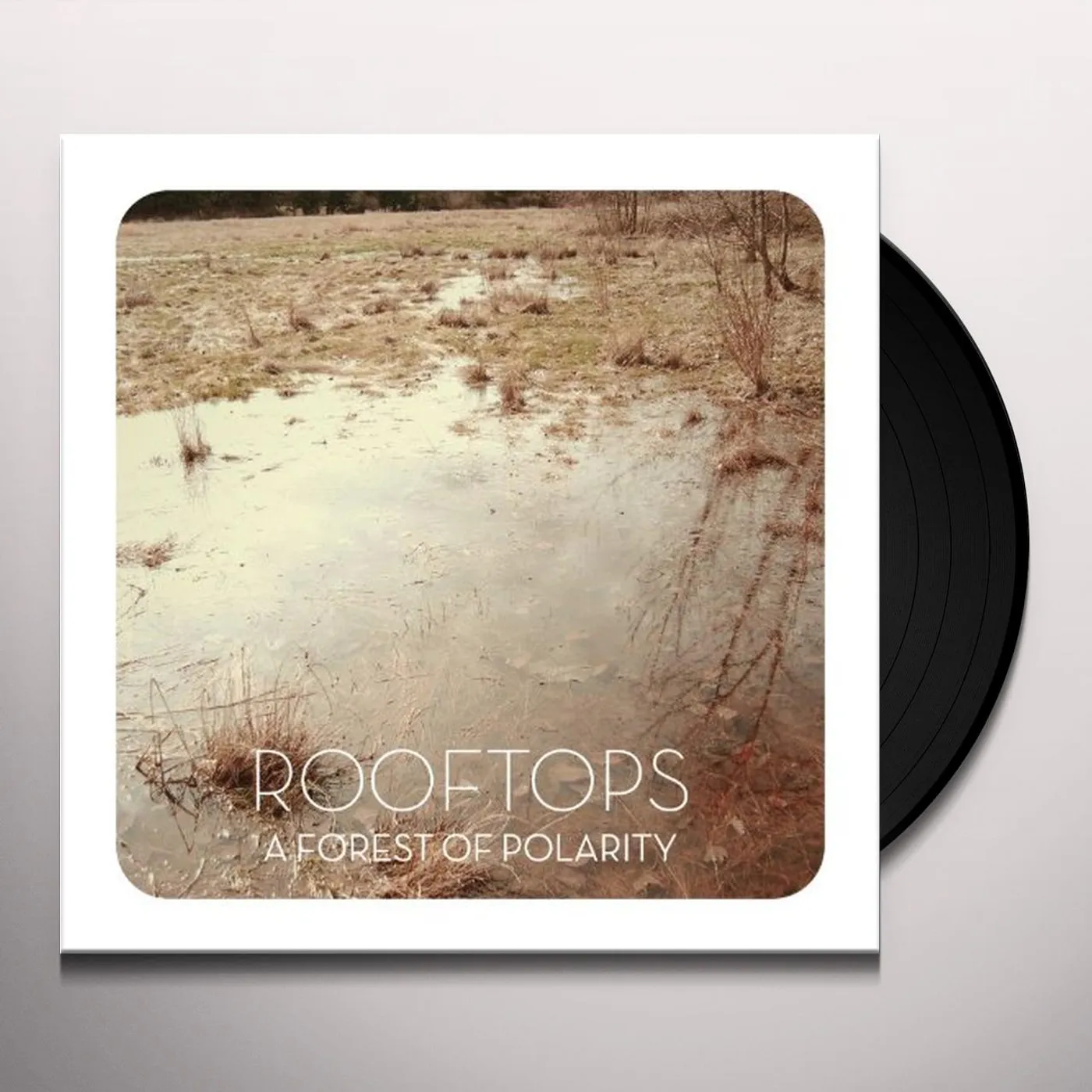 Rooftops FOREST OF POLARITY Vinyl Record