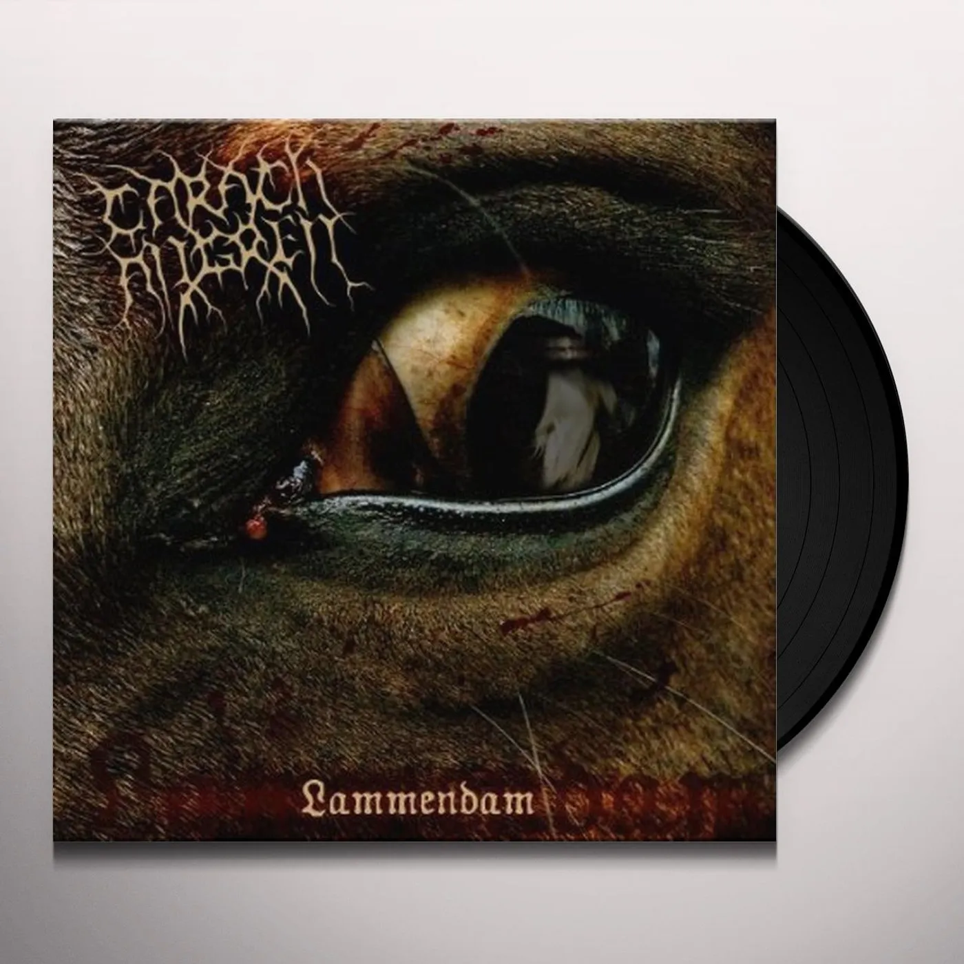 Carach Angren Lammendam Vinyl Record
