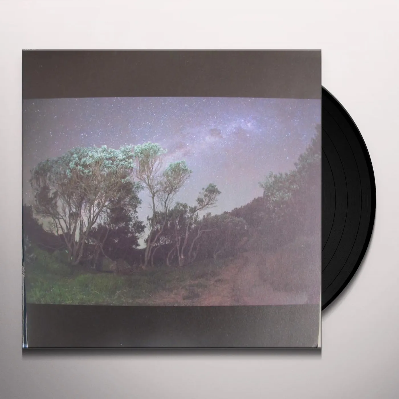 Esben and the Witch Older Terrors Vinyl Record