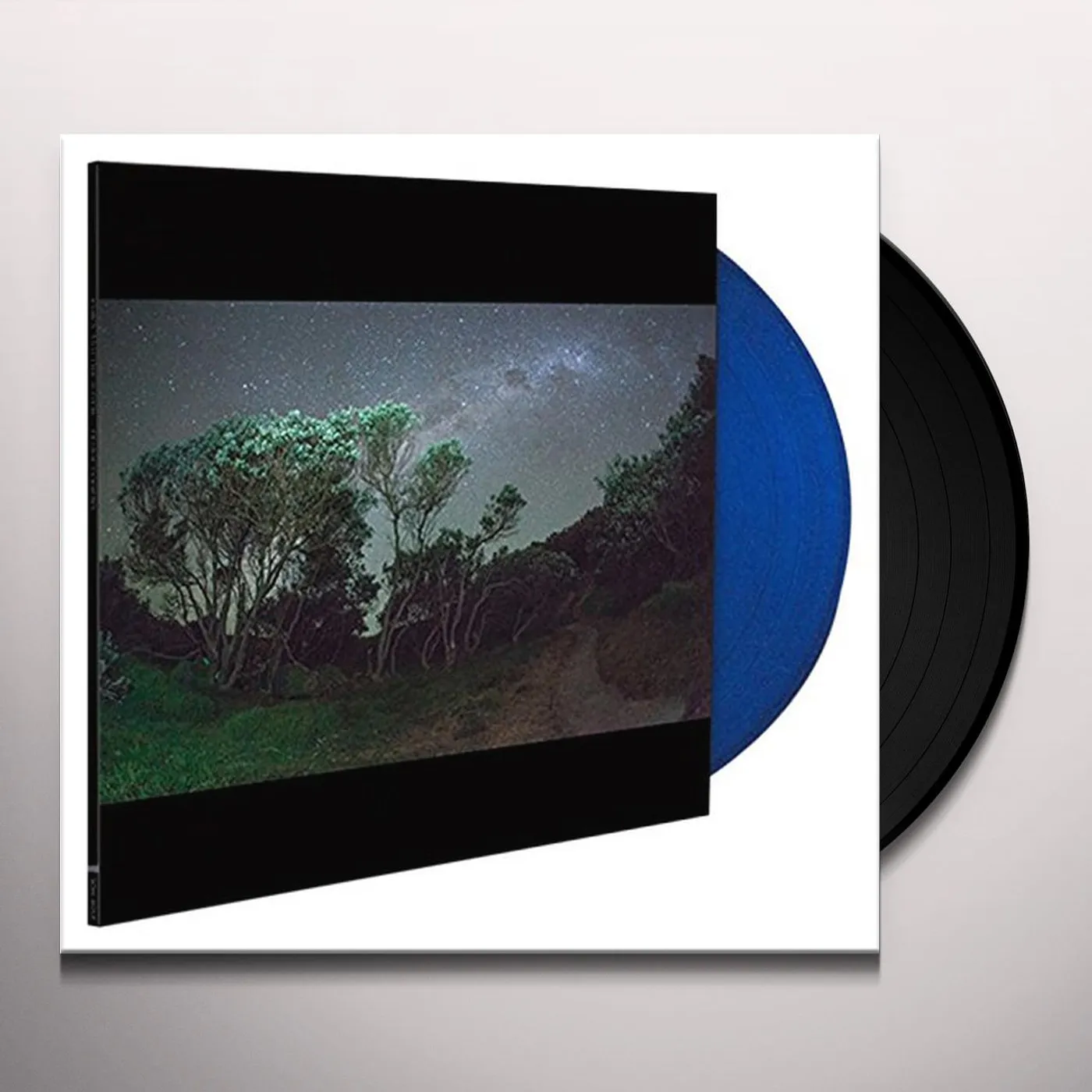 Esben and the Witch Older Terrors Vinyl Record