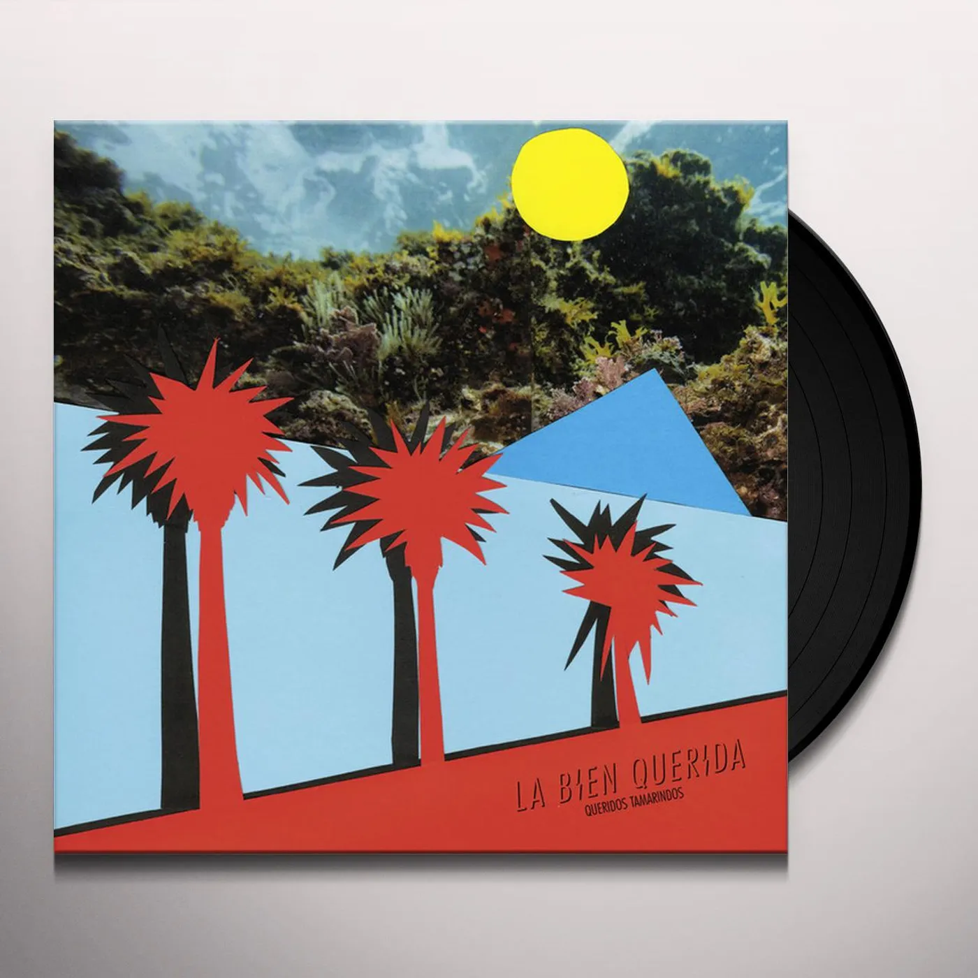 Bien Querida Queridos Tamarindos Vinyl Record