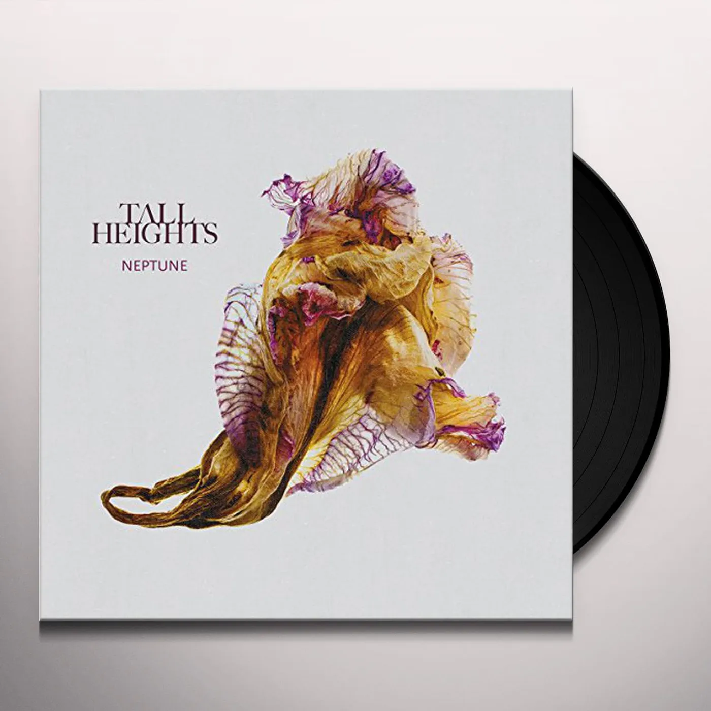 Tall Heights Neptune Vinyl Record