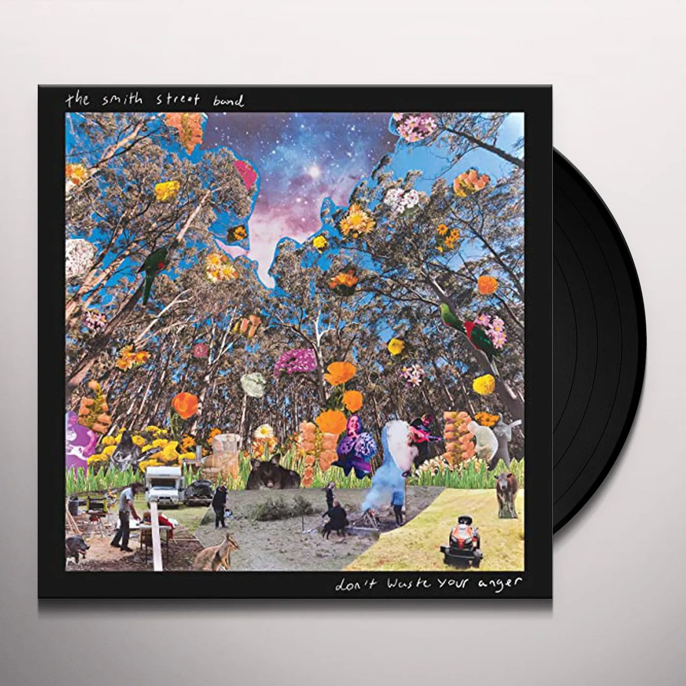 The Smith Street Band Don't Waste Your Anger Vinyl Record